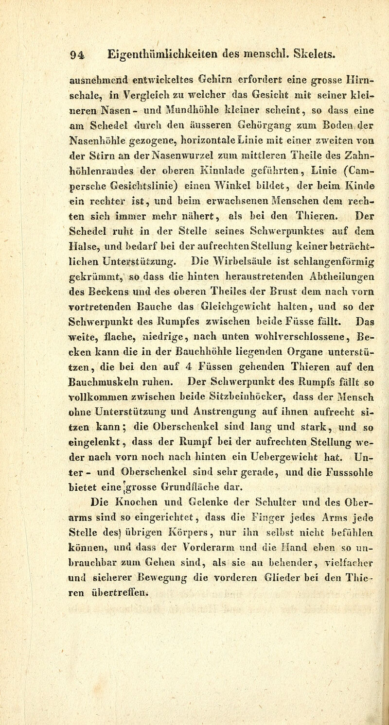 'ö ausnehmend entwickeltes Gehirn erfordert eine grosse Hirn- schale, in Vergleich zu weicher das Gesicht mit seiner klei- neren Nasen- und Mundhöhle kleiner scheint, so dass eine am Schedel durch den äusseren Gehörgang zum Boden der Nasenhöhle gezogene, horizontale Linie mit einer zweiten von der Stirn an der Nasenwurzel zum mittleren Theile des Zahn- höhlenrandes der oberen Kinnlade geführten, Linie (Cam- persche Gesichtslinie) einen Winkel bildet, der heim Kinde ein rechter ist, und beim erwachsenen Menschen dem rech- ten sich immer mehr nähert, als bei den Thieren. Der Schedel ruht in der Steile seines Schwerpunktes auf dem Halse, und bedarf bei der aufrechten Stellung keiner beträcht- lichen Unterstützung. Die Wirbelsäule ist schlangenförmig gekrümmt, so dass die hinten heraustretenden Abtheilungen des Beckens und des oberen Theiles der Brust dem nach vorn vortretenden Bauche das Gleichgewicht halten, und so der Schwerpunkt des Rumpfes zwischen beide Füsse fällt. Das weite, flache, niedrige, nach unten wohlrerschlossene, Be- cken kann die in der Bauchhöhle liegenden Organe unterstü- tzen, die bei den auf 4 Füssen gehenden Thieren auf den Bauchmuskeln ruhen. Der Schwerpunkt des Rumpfs fällt so vollkommen zwischen beide Sitzbeinhöcker, dass der Mensch ohne Unterstützung und Anstrengung auf ihnen aufrecht si- tzen kann; die Oberschenkel sind lang und stark, und so eingelenkt, dass der Rumpf bei der aufrechten Stellung Ave- der nach vorn noch nach hinten ein Uebergewiclit hat. Un- ter - und Oberschenkel sind sehr gerade, und die Fusssohle bietet eine-grosse Grundfläche dar. Die Knochen und Gelenke der Schulter und des Ober- arms sind so eingerichtet, dass die Finger jedes Arms jede Stelle des) übrigen Körpers, nur ihn selbst nicht befühlen können, und dass der Vorderarm und die Hand eben so im- brauchbar zum Gehen sind, als sie an behender, vielfacher und sicherer Bewegung die vorderen Glieder bei den Thie- ren übertreffen.