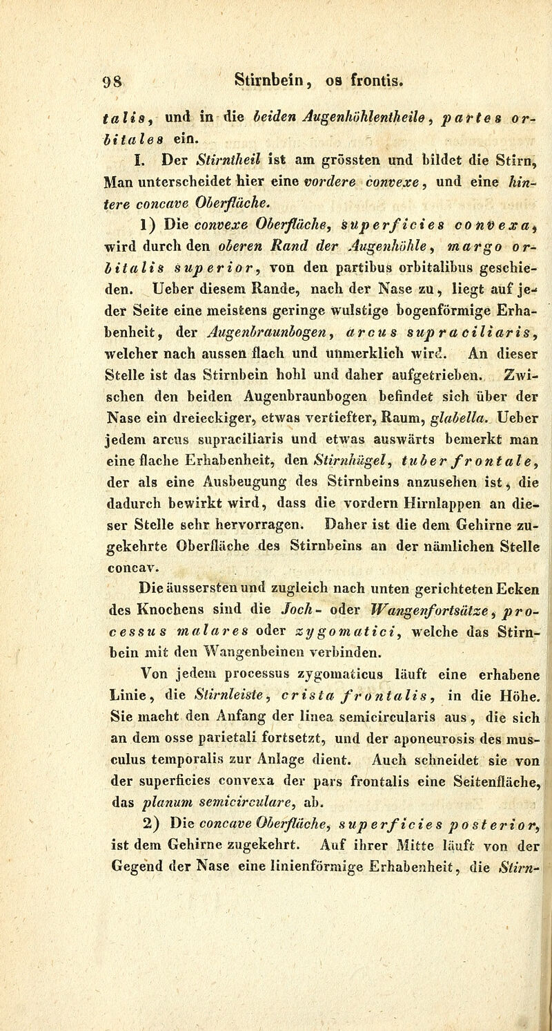 talis, und in die beiden Augenhöhlentheile, partes or- hitalea ein. I. Der Stirntheil ist am grössten und bildet die Stirn, Man unterscheidet hier eine vordere convexe, und eine hin^ tere concave Oberfläche. 1) Die convexe Oberfläche, superficies coneexa^ wird durch den oberen Rand der Augenhöhle, margo or- hitalis sup erior, von den partibus orbitalibus geschie- den. Ueber diesem Rande, nach der Nase zu, liegt auf je- der Seite eine meistens geringe wulstige bogenförmige Erha- benheit, der Augenbraunbogen, arcus sup raciliaris, welcher nach aussen flach und unmerklich wird. An dieser Stelle ist das Stirnbein hohl und daher aufgetrieben. Zwi- schen den beiden Augenbraunbogen befindet sich über der Nase ein dreieckiger, etwas vertiefter, Raum, glabella. Ueber jedem arcus supraciliaris und etwas auswärts bemerkt man eine flache Erhabenheit, den Stirnhügel, tuber fr ontale, der als eine Ausbeugung des Stirnbeins anzusehen ist, die dadurch bewirkt wird, dass die vordem Hirnlappen an die- ser Stelle sehr hervorragen. Daher ist die dem Gehirne zu- gekehrte Oberfläche des Stirnbeins an der nämlichen Stelle concav. Die äussersten und zugleich nach unten gerichteten Ecken des Knochens sind die Joch - oder Wangenfortsätze, Pro- cessus malares oder zygomatici, welche das Stirn- bein mit den Wangenbeinen verbinden. Von jedem processus zygomaticus läuft eine erhabene Linie, die Stirnleiste, cristafrontalis, in die Höhe, Sie macht den Anfang der linea semicircularis aus, die sich an dem osse parietal! fortsetzt, und der aponeurosis des mus- culus temporalis zur Anlage dient. Auch schneidet sie von der superficies convexa der pars frontalis eine Seitenfläche, das planum semicirculare, ab. 2) Die concave Oberfläche, superficies posterior, ist dem Gehirne zugekehrt. Auf ihrer Mitte läuft von der Gegend der Nase eine linienförmige Erhabenheit, die Stirn