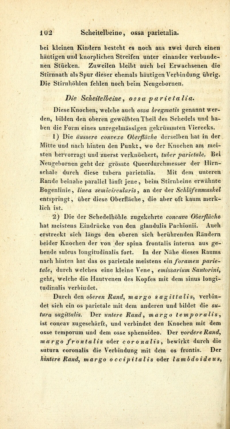 bei kleiueu Kindern besteht es noch aus zwei durch einen häutigen und knorplichen Streifen unter einander verbunde- nen Stücken. Zuweilen bleibt auch bei Erwachsenen die Stirnnath als Spur dieser ehemals häutigen Verbindung übrig. Die Stirnhöhlen fehlen noch beim Neugebornen. Die Scheitelbeine, ossa parietaiia. Diese Knochen, welche auch ossa hregmatis genannt wer- den, bilden den oberen gewölbten Theil des Schedels und ha- ben die Form eines unregelmässigen gekrümmten Vierecks. 1) Die äussere convexe Oberfläche derselben hat in der Mitte und nach hinten den Punkt, wo der Knochen am mei- sten hervorragt und zuerst verknöchert, tuher parietale. Bei Neugebornen geht der grösste Queerdurchmesser der Hirn- schale durch diese tubera parietaiia. Mit dem unteren Rande beinahe parallel läuft jene, beim Stirnbeine erwähnte Bogenlinie, linea semicircularis, an der der Schläfenmuskel entspringt, über diese Oberfläche, die aber oft kaum merk- lich ist. 2) Die der Schedelhöhle zugekehrte concave Oberfläche hat meistens Eindrücke von den glaudulis Pachionii. Auch erstreckt sich längs den oberen sich berührenden Rändern beider Knochen der von der spina frontalis interna aus ge- hende sulcus longitudinalis fort. In der Nähe dieses Raums nach hinten hat das os parietale meistens ein foramen parte- tale, durch welches eine kleine Vene, emissariam Santoriniy geht, welche die Hautvenen des Kopfes mit dem sinus longi- tudinalis verbindet. DvLXch. ÜQXX. oberen Rand, margo s agittalis, verbin- det sich ein os parietale mit dem anderen und bildet die su- tui'a sagittalis. Der untere Rand, margo temp oralis , ist concav zugeschärft, und verbindet den Knochen mit dem osse temporum und dem osse sphenoideo. Der vordere Rand, margo frontalis oder coronalis, bewirkt durch die sutura coronalis die Verbindung mit dein os frontis. Der hintere Randy margo o ccipitalis oder lambdoideus.