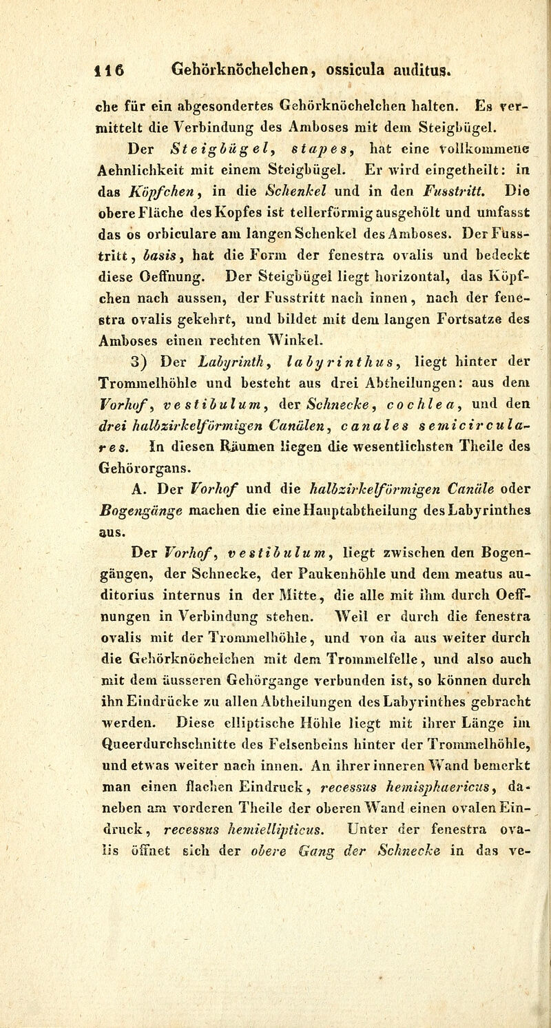 che für ein abgesondertes Gehörknöchelchen halten. Es ver- mittelt die Verbindung des Amboses mit dem Steigbügel. Der Steigbüg ely stapes, hat eine Vollkommeue Aehnlichkeit mit einem Steigbügel. Er Avird eingetheilt: in das Köpfchen, in die Schenkel und in den Fusstritt. Die obere Fläche des Kopfes ist tellerförmig ausgehölt und umfasst das 6s orbiculare am langen Schenkel des Amboses. Der Fuss- tritt , Itasis, hat die Form der fenestra ovalis und bedeckt diese OefFnung. Der Steigbügel liegt horizontal, das Köpf- chen nach aussen, der Fusstritt nach innen, nach der fene- stra ovalis gekehrt, und bildet mit dem langen Fortsatze des Amboses einen rechten Winkel. 3) Der Labyrinthf labyrinthus, liegt hinter der TroMunelhöhle und besteht aus drei Abtheilungen: aus dem Vorhof ^ vestibulum, der Schnecke, Cochlea, und den drei halbzirkelfurmigen Canälen, c anal es semicircula- res. Jn diesen Rüumen liegen die wesentlichsten Theile des Gehörorgans. A. Der Vorhof und die halbzirkelförmigen Canäle oder Bogengänge machen die eine Hauptabtheilung des Labyrinthes aus. Der Vorhof, v estibulum, liegt zwischen den Bogen- gängen, der Schnecke, der Paukenhöhle und dem meatus au- ditorius internus in der Mitte, die alle mit ihm durch OefF- nungen in Verbindung stehen. Well er durch die fenestra ovalis mit der Tronunelhöhle, und von da aus weiter durch die Gehörknöchelchen mit dem Trommelfelle, und also auch mit dem äusseren Gehörgange verbunden ist, so können durch ihn Eindrücke zu allen Abtheilungen des Labyrinthes gebracht werden. Diese elliptische Höhle liegt mit ihrer Länge im Queerdurchschnitte des Felsenbeins hinter der Trommelhöhle, und etwas weiter nach innen. An ihrer inneren Vv and bemerkt man einen flachen Eindruck, recessus hemispkaei'iciis) da- neben am vorderen Theile der oberen W^and einen ovalen Ein- druck , recessus hemiellipticus. Unter der fenestra ova- lis öffnet sich der obere Gang der Schnecke in das ve-