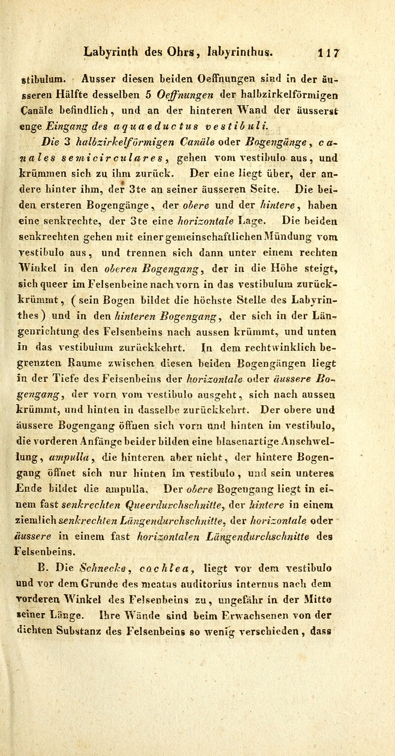 Btibulum. Ausser diesen beiden Oeffnungen sißd in der äu- sseren Hälfte desselben 5 Oeffnungen der halbzirkelförmigen Canäle befindlich, und an der hinteren AVand der äusserst enge Eingang des aquaeduc tus vestibulL Die 3 halbzirhelföi'migen Canäle oder Bogengänge, c a- nales seviicirculares, gehen vom vestibulo aus, und krümmen sich zu ihm zurück. Der eine liegt über, der an- dere hinter ihm, der 3te an seiner äusseren Seite. Die bei- den ersteren Bogengänge, der obere und der hintere, haben eine senkrechte, der 3te eine horizontale Lage. Die beiden senkrechten gehen mit einer gemeinschaftlichen Mündung vom vestibulo aus, und trennen sich dann unter einem rechten Winkel in den oberen Bogengang y der in die Höhe steigt, sichqueer im Felsenbeine nach vorn in das vestibulum zurück- krümmt, (sein Bogen bildet die höchste Stelle des Labyrin- thes) und in den hinteren Bogengang, der sich in der Län- genrichtung des Felsenbeins nach aussen krümmt, und unten in das vestibulum zurückkehrt. In dem recht winklich be- grenzten Räume zwischen diesen beiden Bogengängen liegt in der Tiefe des Felsenbeins der horizontale oder äussere Bo- gengang, der vorn vom vestibulo ausgeht, sich nach aussen krümmt, und hinten in dasselbe zurückkehrt. Der obere und äussere Bogengang öffnen sich vorn und hinten im vestibulo, die vorderen Anfänge beider bilden eine blasenartige Anschwel- lung, anipuUa, die hinteren aber nicht, der hintere Bogen- gang öffnet sich nur hinten im vestibulo, und sein unteres Ende bildet die ampulla. Der obere Bogengang liegt in ei- nem fast senkrechten Queerduvchschnitte, der hintere in einem ziemlich senkrechten Längendurchschnitte, der horizontale oder  äussere in einem fast horizontalen Lüngendurclischnitte des Felsenbeins. B. Die Schnecke, cachlea^ liegt vor dem vestibulo und vor dem Grunde des meatus auditorius internus nach dem vorderen Winkel des Felsenbeins zu, ungefähr in der Mitte »einer Länge. Ihre Wände dnd beim Erwachsenen von der dichten Substanz des Felsenbeins so wenfg verschieden , dass