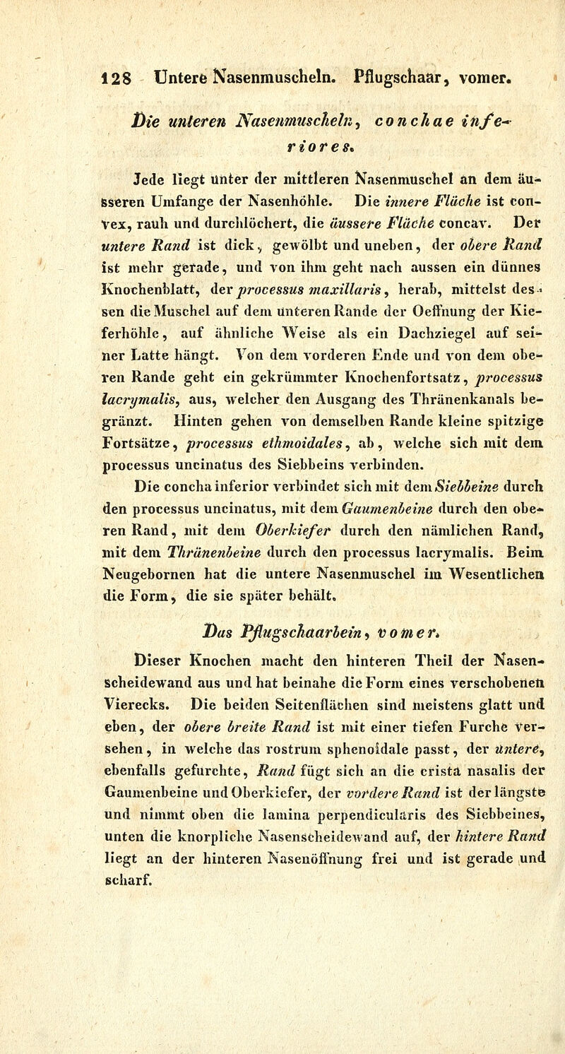 Die unteren Nasenmuscheln ^ conchae infe riores» Jede liegt Unter der mittleren Nasenmuschel an dem äu- sseren Umfange der Nasenhöhle. Die innere Fläche ist con- Vex, rauh und durclilöchert, die äussere Fläche concav. Der untere Rand ist dick, gewölbt und uneben, der obere Rand ist mehr gferade, und von ihm geht nach aussen ein dünnes Knochenblatt, der processus maxillarts^ herab, mittelst des-' sen die Muschel auf dem unteren Rande der Oeft'nung der Kie- ferhöhle , auf ähnliche Weise als ein Dachziegel auf selt- ner Latte hängt. Von dem vorderen Ende und von dem obe- ren Rande geht ein gekrümmter Knochenfortsatz, processus lacrymalis, aus, welcher den Ausgang des Thränenkanals be- gränzt. Hinten gehen von demselben Rande kleine spitzige Fortsätze, processus ethmoidales, ab, welche sich mit dem Processus uncinatus des Siebbeins verbinden. Die concha inferior verbindet sich mit demStebbeine durch den processus uncinatus, mit dem Gaumenbeine durch den obe- ren Rand, mit dem Obei'hiefer durch den nämlichen Rand, mit dem Thrünenbeine durch den processus lacrymalis. Beim Neugebornen hat die untere Nasenmuschel im Wesentlichea die Form, die sie später behält. Das Pflugschaarhein i toiiier* Dieser Knochen macht den hinteren Theil der Nasen- scheidewand aus und hat beinahe die Form eines verschobenen Vierecks. Die beiden Seitenflächen sind meistens glatt und eben, der obere breite Rand ist mit einer tiefen Furche Ver- sehen , in welche das rostrum sphenoidale passt, der untere, ebenfalls gefürchte, Rand fügt sich an die crista nasalis der Gaumenbeine und Oberkiefer, der vordere Rand ist der längste und nimmt oben die lamina perpendicularis des Siebbeines, unten die knorpliche Nasenscheidewand auf, der hintere Rand liegt an der hinteren Nasenöflnung frei und ist gerade und scharf.