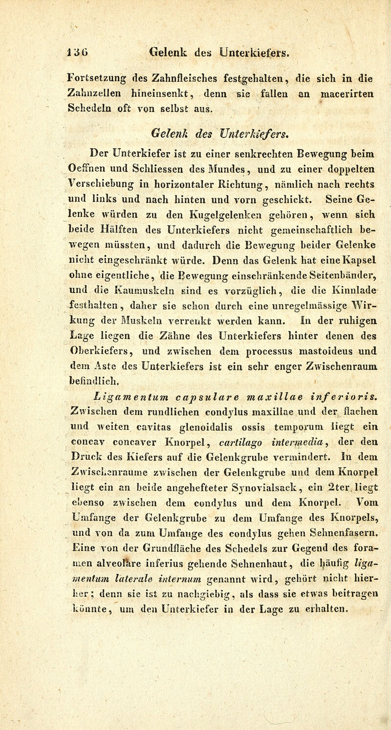 liJt) Gelenk des Unterkiefers. Fortsetzung des Zahnfleisches festgehalten, die sich in die Zahuzellen hineinsenkt, denn sie fallen an macerirten Schedein oft von selbst aus. Gelenk des Unterkiefers. Der Unterkiefer ist zu einer senkrechten Bewegung beim OeiFnen und Schliessen des Mundes, und zu einer doppelten Verschiebung in horizontaler Richtung, nämlich nach rechts und links und nach hinten und vorn geschickt. Seine Ge- lenke würden zu den Kugelgelenken gehören, wenn sich beide Hälften des Unterkiefers nicht gemeinschaftlich be- wegen müssten, und dadurch die Bewegung beider Gelenke nicht eingeschränkt würde. Denn das Gelenk hat eine Kapsel ohne eigentliche, die Bewegung einschränkende Seitenbänder, und die Kaumuskeln sind es vorzüglich, die die Kinnlade festhalten, daher sie schon durch eine unregelmässige Wir- kung der Muskeln verrenkt werden kann. In der ruhigen Lage liegen die Zähne des Unterkiefers hinter denen des Oberkiefers, und zwischen dem processus mastoideus und dem Aste des Unterkiefers ist ein sehr enger Zwischenraum, belindlich. Ligamentum capsulare maxillae inferioris. Zwisclien dem rundlichen condjlus maxillae und der flachen und weiten cavitas glenoidalis ossis temporum liegt ein concav concaver Knorpel, cartilago intermedia, der den Druck des Kiefers auf die Gelenkgrube vermindert. In dem Zwischenräume zwischen der Gelenkgrube und dem Knorpel liegt ein an beide angehefteter Sjnovialsack, ein 2ter. liegt ebenso zwischen dem condylus und dem Knorpel. Vom Umfange der Gelenkgrube zu dem Umfange des Knorpels, und von da zum Umfange des condylus gehen Sehnenfasern, Eine von der Grundfläche des Schedels zur Gegend des fora- luen alveolare inferius gehende Sehnenhaut, die häufig Uga- mentum laterale internum genannt wird, gehört nicht hier- her; denn sie ist zu nachgiebig, als dass sie etwas beitragen könnte, um den Unterkiefer in der Lage zu erhalten.