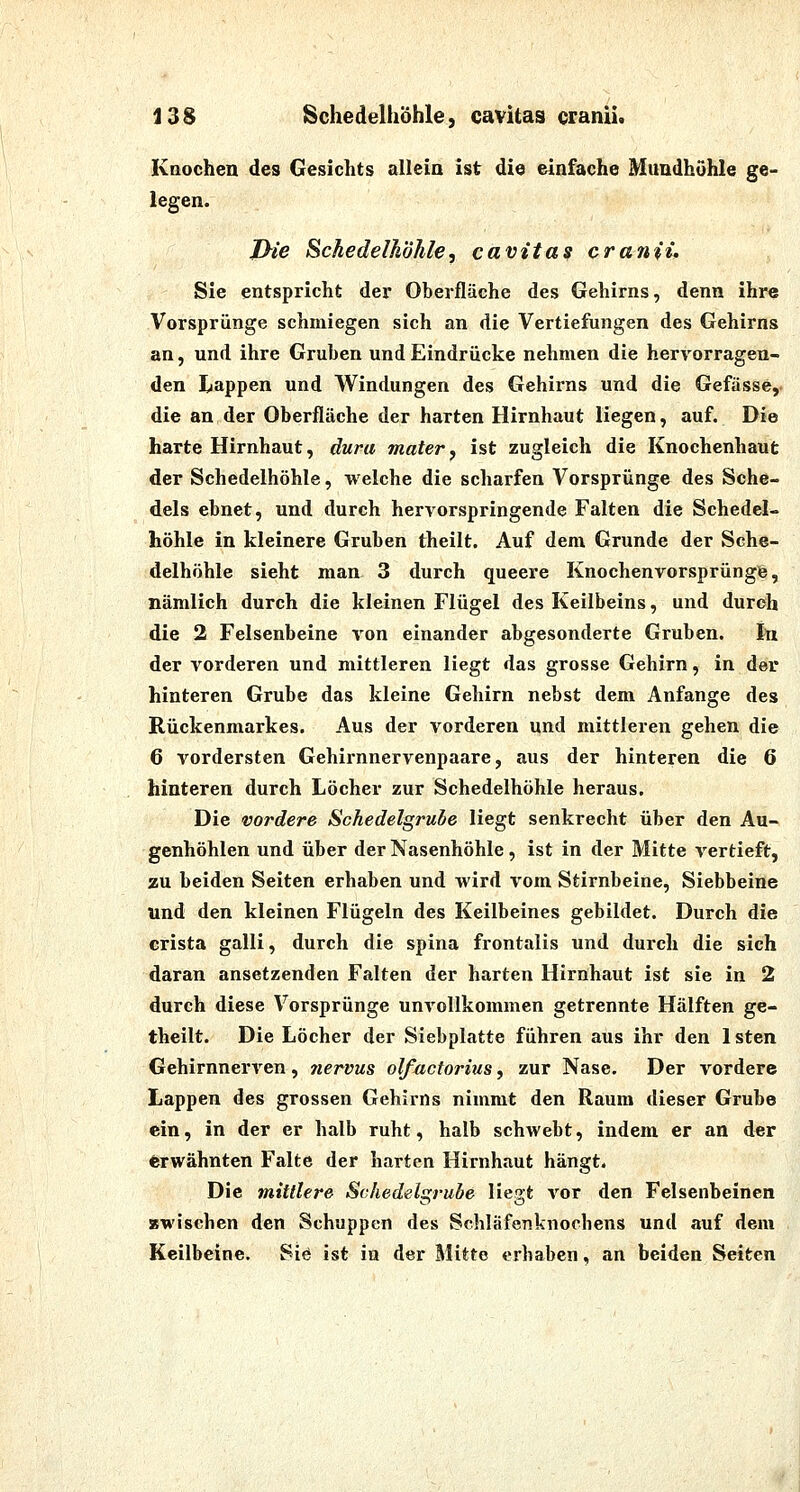 Knochen des Gesichts allein ist die einfache Mundhöhle ge- legen. XHe Sckedelköhle, cavitas cranii. Sie entspricht der Oberfläche des Gehirns, denn ihre Vorsprünge schmiegen sich an die Vertiefungen des Gehirns an, und ihre Gruben und Eindrücke nehmen die hervorragen- den Lappen und Windungen des Gehirns und die Gefässe, die an der Oberfläche der harten Hirnhaut liegen, auf. Die harte Hirnhaut, dura mater, ist zugleich die Knochenhaut der Schedelhöhle, welche die scharfen Vorsprünge des Sche- dels ebnet, und durch hervorspringende Falten die Schedel- höhle in kleinere Gruben theilt. Auf dem Grunde der Sche- delhöhle sieht man 3 durch queere Knochenvorsprüngfe, nämlich durch die kleinen Flügel des Keilbeins, und durch die 2 Felsenbeine von einander abgesonderte Gruben. In der vorderen und mittleren liegt das grosse Gehirn, in der hinteren Grube das kleine Gehirn nebst dem Anfange des Rückenmarkes. Aus der vorderen und mittleren gehen die 6 vordersten Gehirnnervenpaare, aus der hinteren die 6 hinteren durch Löcher zur Schedelhöhle heraus. Die vordere Schedelgrule liegt senkrecht über den Au- genhöhlen und über der Nasenhöhle, ist in der Mitte vertieft, zu beiden Seiten erhaben und wird vom Stirnbeine, Siebbeine und den kleinen Flügeln des Keilbeines gebildet. Durch die crista galli, durch die spina frontalis und durch die sich daran ansetzenden Falten der harten Hirnhaut ist sie in 2 durch diese Vorsprünge unvollkommen getrennte Hälften ge- theilt. Die Löcher der Siebplatte führen aus ihr den Isten Gehirnnerven , 7iervus olfuctorius, zur Nase. Der vordere Lappen des grossen Gehirns nimmt den Raum dieser Grube ein, in der er halb ruht, halb schwebt, indem er an der Erwähnten Falte der harten Hirnhaut hängt. Die mittlere Schedelgrube liegt vor den Felsenbeinen zwischen den Schuppen des Schläfenknochens und auf dem Keilbeine. Siö ist in der Mitte erhaben, an beiden Seiten