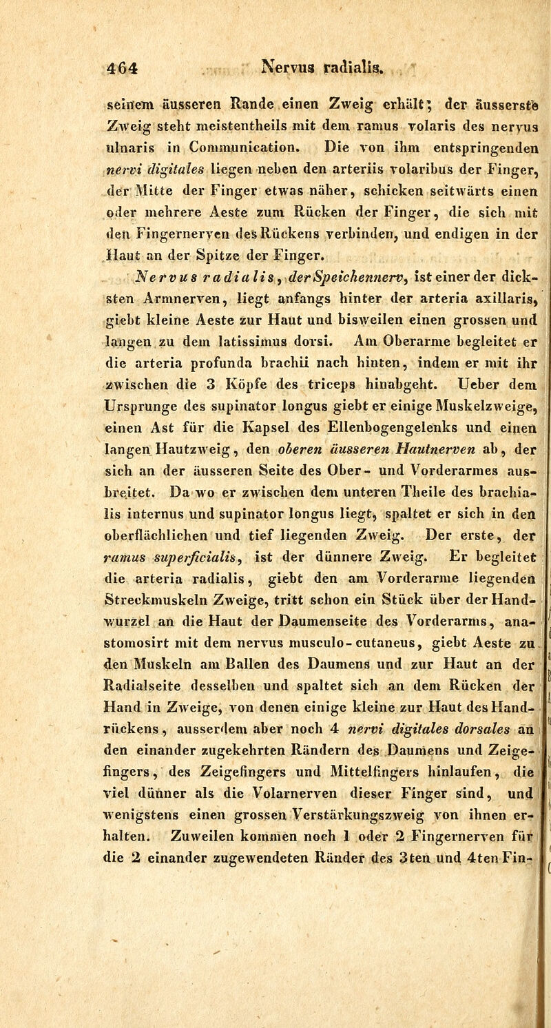 seinem äusseren Rande einen Zweig erhält; der äusserst^ Zweig steht meistentheils mit dem ramus volaris des neryus ulnaris in Communication. Die von ihm entspringenden nervi digitales liegen neben den arteriis Tolaribus der Finger, der Mitte der Finger etwas näher, schicken seitwärts einen oder mehrere Aeste zum Rücken der Finger, die sich mit den Fingernerven des Rückens verbinden, und endigen in der Haut an der Spitze der Finger. Nervus radialis^ der Speichennerv ^ ist einer der dick- sten ArmnerA''en, liegt anfangs hinter der arteria axillaris, giebt kleine Aeste zur Haut und bisweilen einen grossen und langen zu dem latissimus dorsi. Am Oberarme begleitet er die arteria profunda brachü nach hinten, indem er mit ihr üwischen die 3 Köpfe des triceps hinabgeht. Ucber dem Ursprünge des supinator longus giebt er einige Muskelzweige, einen Ast für die Kapsel des Ellenbogengelenks und einen langen Hautzweig, den oberen äusseren Hautnerven ab, der sich an der äusseren Seite des Ober- und Vorderarmes aus- bre.itet. Da wo er zwischen dem unteren Theile des brachia- lis internus und supinator longus liegt, spaltet er sich in den oberflächlichen und tief liegenden Zweig. Der erste, der ramus superficialis^ ist der dünnere Zweig. Er begleitet die arteria radialis, giebt den am Vorderarme liegenden Streckmuskeln Zweige, tritt schon ein Stück über der Hand- wurzel an die Haut der Daumenseite des Vorderarms, ana- stomosirt mit dem nervus musculo-cutaneus, giebt Aeste zu <len Muskeln am Ballen des Daumens und zur Haut an der Radialseite desselben und spaltet sich an dem Rücken der Hand in Zweige, von denen einige kleine zur Haut des Hand- rückens , ausserdem aber noch 4 nervi digitales dorsales an den einander zugekehrten Rändern des Daumens und Zeige- fingers , des Zeigefingers und Mittelfingers hinlaufen, die viel dünner als die Volarnerven dieser Finger sind, und ■wenigstens einen grossen Verstärkungszweig von ihnen er- halten. Zuweilen kommen noch 1 oder 2 Fingernerven für die 2 einander zugewendeten Ränder des 3ten und 4tenFin-