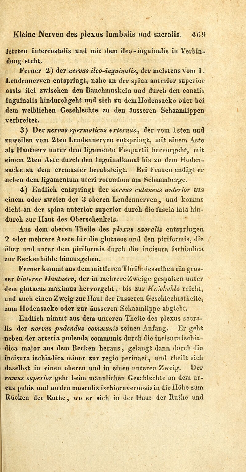 letzten intercostalis und mit dem üeo-inguinali? in Verbin- dung steht. Ferner 2) der nervus ileo-inguinalia, der meistens vom I. Lendennerven entspringt, nahe an der spina anterior superior ossis ilei zwischen den Bauchmuskeln und durch den canaÜs inguinalis hindurchgeht und sich zu dem Hodensacke oder bei dem weiblichen Geschlechte zu den äusseren Schaamlippen verbreitet. 3) Der nei^us spermaticus externus, der vom 1 sten und zuweilen vom 2ten Lendennerven entspringt, mit einem Aste als Hautnerv unter dem ligamento Poupartii hervorgeht, mit einem 2ten Aste durch den Inguinalkanai bis zu dem Hoden- sacke zu dem cremaster herabsteigt. Bei Frauen endigt er neben dem ligamentum uteri rotundum am Schaamberge. 4) Endlich entspringt der nej'vua cutaneus anterior aus einem oder zweien der 3 oberen Lendennerven, und kommt dicht-an der spina anterior superior durch die fascia lata hin- durch zur Haut des Oberschenkels. Aus dem oberen Theile des plexus sacralis entspringen 2 oder mehrere Aeste für die glutaeos und den piriformis, die über und unter dem piriformis durch die incisura ischiadica zur Beckenhöhle hinausgehen. Ferner kommt aus dem mittleren Theile desselben ein gros- ser hinterer Hautnerv, der in mehrere ZAveige gespalten unter dem glutaeus maximus hervorgeht, bis zur KnCeJcehh reicht, und auch einen Zweig zur Haut der äusseren Geschlechtstheile, zum Hodensacke oder zur äusseren Schaamlippe abgiebt. Endlich nimmt aus dem unteren Theile des plexus sacra- lis der nervus pudendus communis seinen Anfang. Er geht neben der arteria pudenda communis durch die incisura ischia- dica major aus dem Becken heraus, gelangt dann durch die incisura ischiadica minor zur regio perinaei, und theilt sich daselbst in einen oberen und in einen unteren Zweig. Der ramus superior geht beim männlichen Geschlechte an dem ar- cus pubis und an den musculis ischiocavernosisin dieHöhe zum Rücken der Ruthe, wo er sich in der Haut der Ruihe und