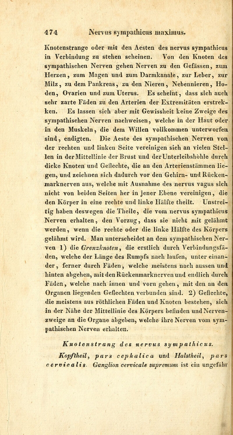 Knotenstrange oder mit den Aesten des nervus sympathicus in Verbindung zu stehen scheinen. Von den Knoten des sympathischen Nerven gehen Nerven zu den Gefässen, zum Herzen, zum Magen und aum Darmkanale, zur Leber, zur Milz, zu dem Pankreas, zu den Nieren, Nebennieren, Ho- den, Ovarien und zum Uterus. Es scheint, dass sich auch sehr zarte Fäden zu den Arterien der Extremitäten erstrek- ken. Es lassen sich aber mit Gewissheit keine Zweige des sympathischen Nerven nachweisen, welche in der Haut oder, in den Muskeln, die dem Willen volikommen unterworfen sind, endigten. Die Aeste des sympathischen Nerven von der rechten und linken Seite vereinigen sich an vielen Stel- len in der Mittellinie der Brust und der Unterleibshöhle durch dicke Knoten und Geflechte, die an den Arterienstämmen lie- gen, und zeichnen sich dadurch vor den Gehirn^ und Rücken-^ marknerven aus, welche mit Ausnahme des nervus vagus sich nicht von beiden Seiten her in jener Ebene vereinigen, die den Körper in eine rechte und linke Hälfte theilt. Unstrei- tig haben deswegen die Theile, die vom nervus sympathicus Nerven erhalten, den Vorzug, dass sie nicht mit gelähmt werden, wenn die rechte oder die linke Hälfte des Körpers gelähmt wird. Man unterscheidet an dem sympathischen Ner- ven l) die Grenzknoten, die erstlich durch Verbindungsfä- den, welche der Länge des Rumpfs nach laufen, unter einan- der , ferner durch Fäden, welche meistens nach aussen und hinten abgehen, mit den Rückenmarknerven und endlich durch Fäden, welche nach innen und vorn gehen, mit den an den Organen liegenden Geflechten verbunden sind. 2) Geflechte, die meistens aus röthlichen Fäden und Knoten bestehen, sich in der Nähe der Mittellinie des Körpers befinden und Nerven- zweige an die Organe abgeben, welche ihre Nerven vom sym- pathischen Nerven erhalten. Knotenstrang des nervus sympathicus. Kopftheily pars cephaliea und Halstheil, pars cerviealis- G-anglion cermcale supremutn ist ein ungefähr