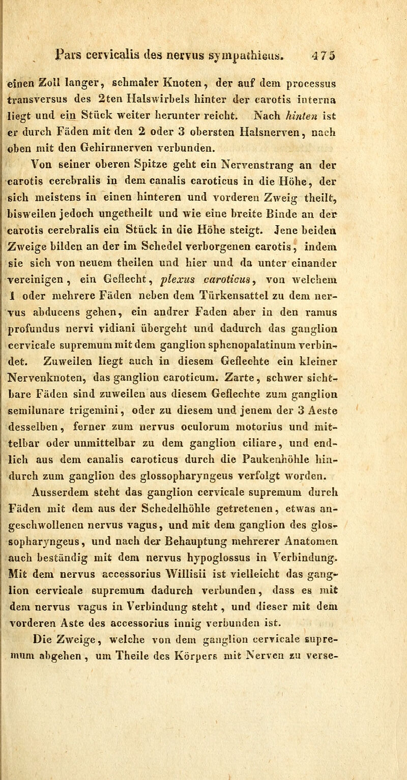 eSoen Zoll langer, schmaler Knoten, der auf dem processus transversus des 2ten Halswirbels hinter der carotis interna liegt und ein Stück weiter herunter reicht. Nach hinten ist er durch Fäden mit den 2 oder 3 obersten HalsnerA^en, nach oben mit den Gehirnnerven verbunden. Von seiner oberen Spitze geht ein Nervenstrang an der carotis cerebralis in dem canalis caroticus in die Höhe, der sich meistens in einen hinteren und vorderen Zweig theilt, bisweilen Jedoch ungetheilt und wie eine breite Binde an der carotis cerebralis ein Stück in die Höhe steigt. Jene beidca Zweige bilden an der im Schedel verborgenen carotis, indem sie sich von neuem theilen und hier und da unter einander vereinigen , ein Geflecht, plexiis caroticus, von welchem 1 oder mehrere Fäden neben dem Türkensattel zu dem ner- vus abducens gehen, ein andrer Faden aber in den ramus profundus nervi vidiani übergeht und dadurch das ganglion cervicale supremum mit dem ganglion sphenopalatinum verbin-r det. Zuweilen liegt auch in diesem Geflechte ein kleiner Nervenknoten, das ganglion caroticura. Zarte, schwer sicht-r bare Fäden sind zuweilen aus diesem Geflechte zum ganglion semilunare trigemini, oder zu diesem und jenem der 3 Äeste desselben, ferner zum aervus oculorum motorius und mit- telbar oder unmittelbar zu dem ganglion ciliare, und end- lich aus dem canalis caroticus durch die Paukenhöhle hin- durch zum ganglion des glossopharyngeus verfolgt worden. Ausserdem steht das ganglion cervicale supremum durch Fäden mit dem aus der Schedelhöhle getretenen, etwas an- geschwollenen nervus vagus, und mit dem ganglion des glos- sopharyngeus , und nach der Behauptung mehrerer Anatomen auch beständig mit dem nervus hypoglossus in Verbindung. Mit dem nervus accessorius Willisii ist vielleicht das gang- lion cervicale supremum dadurch verbunden, dass es mit dem nervus vagus in Verbindung steht, und dieser mit dem vorderen Aste des accessorius innig verbunden ist. Die Zweige, welche von dem ganglion cervicale supre- mum abgehen, um Theile des Körpers mit Nerven zu verse-