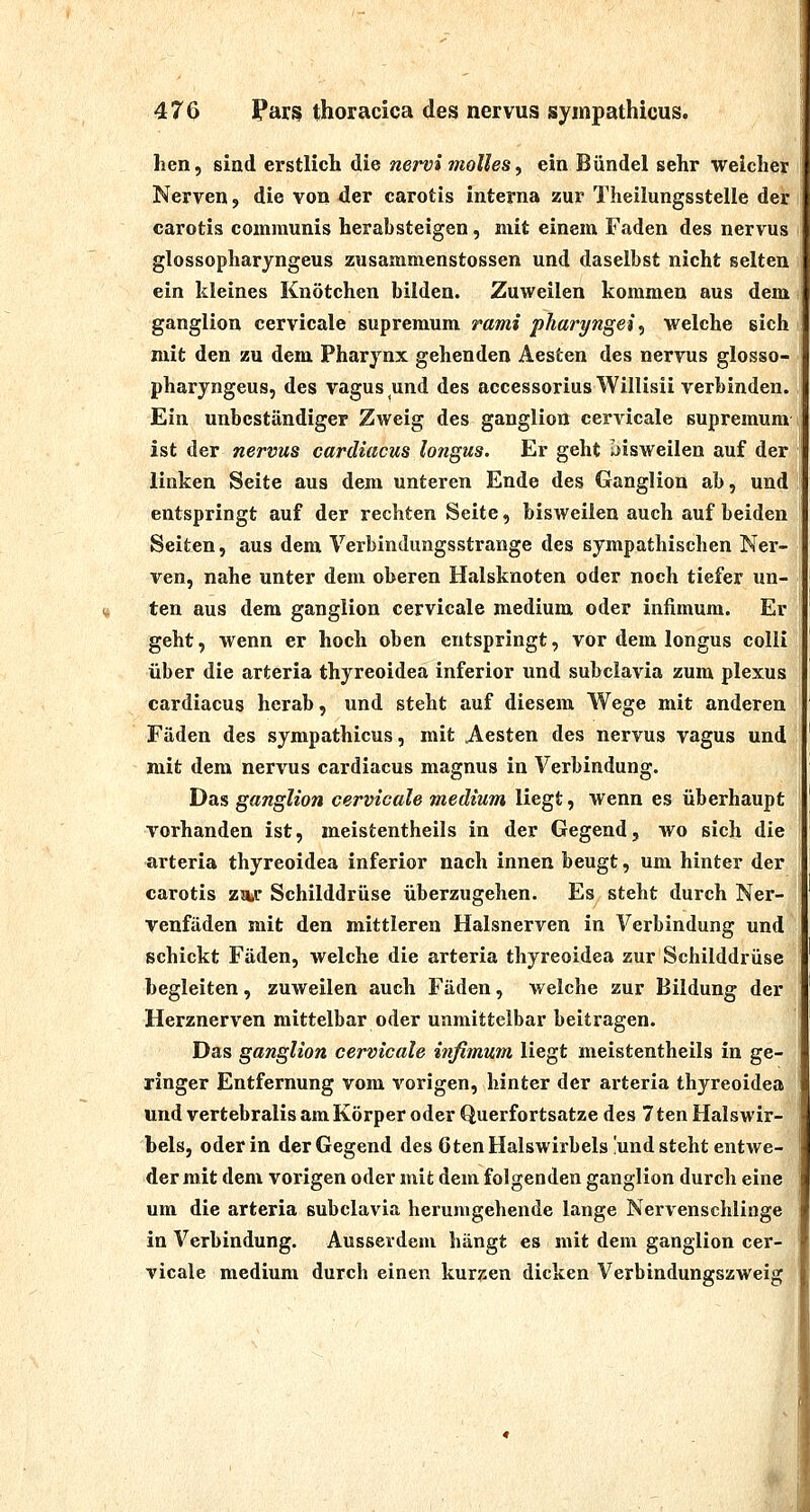 hen, sind erstlich die nervi moUes, ein Bündel sehr welcher : Nerven, die von der carotis interna zur Theilungsstelle der i carotis communis herabsteigen, mit einem Faden des nervus glossopharjngeus zusammenstossen und daselbst nicht selten i ein kleines Knötchen bilden. Zuweilen kommen aus dem \ ganglion cervicale supremum rami pharyngei, welche sich mit den zu dem Pharynx gehenden Aesten des nervus glosso- pharyngeus, des vagus und des accessoriusWillisii verbinden. Ein unbeständiger Zweig des ganglion cervicale supremum ist der nervus cardiacus longus. Er geht bisweilen auf der linken Seite aus dem unteren Ende des Ganglion ab, und entspringt auf der rechten Seite, bisweilen auch auf beiden Seiten, aus dem Verbindungsstrange des sympathischen Ner- ven, nahe unter dem oberen Halsknoten oder noch tiefer un- ten aus dem ganglion cervicale medium oder infimum. Er geht, wenn er hoch oben entspringt, vor dem longus colli über die arteria thyreoidea inferior und subclavia zum plexus cardiacus herab, und steht auf diesem Wege mit anderen Fäden des sympathicus, mit Aesten des nervus vagus und mit dem nervus cardiacus magnus in Verbindung. Das ganglion cervicale medium liegt, wenn es überhaupt vorhanden ist, meistentheils in der Gegend, wo sich die arteria thyreoidea inferior nach innen beugt, um hinter der carotis zw Schilddrüse überzugehen. Es steht durch Ner- venfäden mit den mittleren Halsnerven in Verbindung und schickt Fäden, welche die arteria thyreoidea zur Schilddrüse hegleiten, zuweilen auch Fäden, welche zur Bildung der Herznerven mittelbar oder unmittelbar beitragen. Das ganglion cervicale infimum liegt meistentheils in ge- ringer Entfernung vom vorigen, hinter der arteria thyreoidea und vertebralis am Körper oder Querfortsatze des 7ten Halswir- bels, oder in der Gegend des Gten Halswirbels !und steht entwe- der mit dem vorigen oder mit dem folgenden ganglion durch eine um die arteria subclavia herumgehende lange Nervenschlinge in Verbindung. Ausserdem hängt es mit dem ganglion cer- vicale medium durch einen kurzen dicken Verbindungszweig t