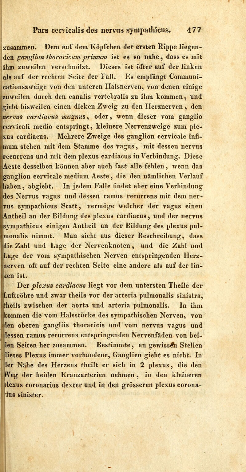 zusammen. Dem auf dem Kopfchen der ersten Rippe liegen- den gangUon thoracicum primum ist es so nahe, dass es mit ihm zuweilen verschmilzt. Dieses ist öfter auf der linken als auf der rechten Seite der Fall. Es empfängt Communi- cationszweige von den unteren Halsnerven, von denen einige zuweilen durch den canalis vertebralis zu ihm kommen, und gieht bisweilen einen dicken Zweig zu den Herznerven, den nervus cardiacus magnus, oder, wenn dieser vom ganglio ■cervicali medio entspringt, kleinere Nervenzweige zum ple- ptus cardiacus. Mehrere Zweige des ganglion cervicale infi- mum stehen mit dem Stamme des vagus, mit dessen nervus recurrens und mit demplexus cardiacus in Verbindung. Diese Aeste desselben können aber auch fast alle fehlen, wenn das ganglion cervicale medium Aeste, die den nämlichen Verlauf haben, abgiebt. In jedem Falle findet aber eine Verbindung des Nervus vagus und dessen raraus recurrens mit dem ner- vus sympathicus Statt, vermöge welcher der vagus einen Antheil an der Bildung des plexus cardiacus, und der nervus sympathicus einigen Antheil an der Bildung des plexus pul- monalis nimmt. Man sieht aus dieser Beschreibung, dass die Zahl und Lage der Nervenknoten, und die Zahl und Lage der vom sympathischen Nerven entspringenden Herz- nerven oft auf der rechten Seite eine andere als auf der lin- ken ist. Der plexus cardiacus liegt vor dem untersten Theile der Luftröhre und zwar theils vor der arteria pulmonalis sinistra, theils zwischen der aorta und arteria pulmonalis. In ihm kommen die vom Halsstücke des sympathischen Nerven, von den oberen gangliis thoracicis und vom nervus vagus und dessen ramus recurrens entspringenden Nervenfäden von hei- len Seiten her zusammen. Bestimmte, an gewissÄi Stellen dieses Plexus immer vorhandene, Ganglien giebt es nicht. In ier Nähe des Herzens theilt er sich in 2 plexus, die den Weg der beiden Kranzarterien nehmen , in den kleineren dexus coronarius dexter und in den grösseren plexus corona- ius sinister.