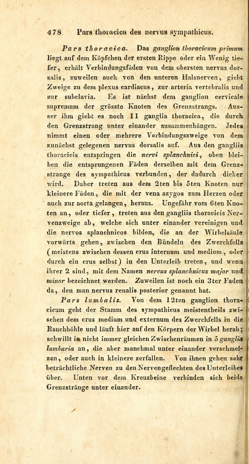 Pars thoracica. Das ganglmn thoracicum primum liegt auf dem Köpfchen der ersten Rippe oder ein Wenig tie- fer, erhält Verbindungsfäden von dem obersten nervus der-», salis, EUAveilen auch von den unteren Halsnerren, giebt Zweige zu dem plexus cardiacus ^ zur arteria vertebralis und zur subclavia. Es ist nächst dem ganglion cervicale supremum der grösste Knoten des Grenzstrangs. Aus- ser ihm giebt es noch II ganglia thoracica, die durch den Grenzstrang unter einander zusammenhängen. Jedes nimmt einen oder mehrere Verbindungszweige von dem aunächst gelegenen nervus dorsalis auf. Aus den gangliis thoracicls entspringen die nervi splanchnici., oben blei- ben die entsprungenen Fäden derselben mit dem Grenz- ßtrange des sjrapathicus verbunden, der dadurch dicicer tvird. Daher treten aus dem 2ten bis 5ten Knoten nur kleinere Fäden, die mit der Vena azygos sum Herzen oder auch zur aorta gelangen, heraus. Ungefähr vom 6ten Kno- ten an, oder tiefer , treten aus den gangliis thoracicis Ner- venzweige ab, welche sich unter einander vereinigen und die nervös splanchnicos bilden, die an der Wirbelsäuls vorwärts gehen, zwischen den Bündeln des Zwerchfells (meistens zwischen dessen crus internum und medium, oder durch ein crus selbst) in den Unterleib treten, und wenn ihrer 2 sind, mit dem Namen nervus splanchnicus major und minor bezeichnet werden. Zuweilen ist noch ein 3ter Faden da, den man nervus renalis posterior genannt hat. Pars lumbalis. Von dem 12ten ganglion thora* cicum geht der Stamm des sympathicus meistentheils zwi- schen dem crus medium und externum des Zwerchfells in die Bauchhöhle und läuft hier auf den Körpern der Wirbel herab j schwillt in, nicht immer gleichen Zwischenräumen in 5 ganglia lumlaria an, die aber manchmal unter einander verschmel-' zen, oder auch in kleinere zerfallen. Von ihnen gehen seht beträchtliche Nerven zu den Nervengeflechten desUnterleibe» über. Unten vor dem Kreuzbeine verbinden sich beide Grenzstränge unter einander. ^