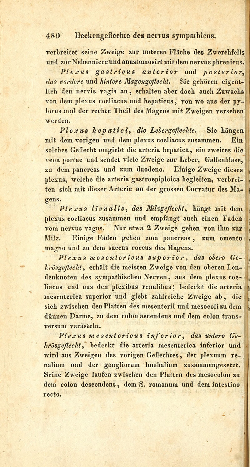 Terbreitet seine Zweige zur unteren Fläche des ZwercLfells und zur Nebenniere und anastomosirt mit dem nervus pbrenicus. Plexus gastricug anterior und posterior^^ das vordere und hintere ßlagengeßecht, Sie gehören eigent-j lieh den nerris vagis an, erhalten aber doch auch Zuwachs t von dem plexus coeliacus und hepaticus, von wo aus der pj- lorus und der rechte Theil des Magens mit Zweigen versehen Werden. Plexus hepaticif die Lehergeßechte. Sie hängen, mit dem vorigen und dem plexus coeliacus zusammen. Ein ii solches Geflecht umgiebt die arteria hepatica, ein zweites die'|; Vena portae und sendet viele Zweige zur Leber, Gallenblase, zu dem pancreas und zum duodeno. Einige Zweige dieses plexus, welche die arteria gastroepiploica begleiten, verbrei- ten sich mit dieser Arterie an der grossen Curvatur des Ma- gens. Plexus lienaliSf das Milzgeßecld^ hängt mit dem plexus coeliacus zusammen und empfängt auch einen Faden vom nervus vagus. Nur etwa 2 Zweige gehen von ihm zur Milz. Einige Fäden gehen zum pancreas, zum omento magno und zu dem Saccus coecus des Magens. Plexus mesentericus superior^ das obere Ge~ ki'ösgeßechty erhält die meisten Zweige von den oberen Len- denknoten des sympathischen Nerven, aus dem plexus coe- liacus und aus den plexibus renalibus; bedeckt die arteria j mesenterica superior und giebt zahlreiche Zweige ab, die i sich zwischen den Platten des mesenterii und mesocolizu dem dünnen Darme, zu dem colon ascendens und dem colon trans- versum verästeln. Plexus mesentericus inferior^ das untere Ge- krösgeßecht, bedeckt die arteria mesenterica inferior und wird aus Zweigen des vorigen Geflechtes, der plexuum re- nalium und der gangliorum lumbalium zusammengesetzt. Seine Zweige laufen zwischen den Platten des mesocolon zu dem colon descendens, dem S. romanum und dem intestino recto.