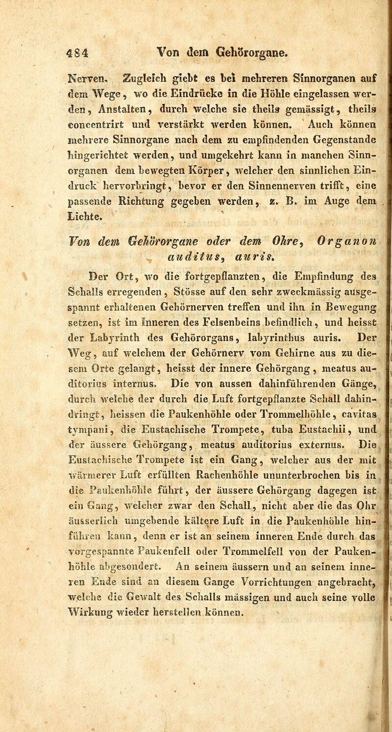 Nerren, Zugleich giebt es bei mehreren SJnnorganen auf dem Wege, wo die Eindrücke in die Höble eingelassen wer- den, Anstalten, durch welche sie theils gemässigt, theils concentrirt und verstärkt werden können. Auch können mehrere Sinnorgane nach dem zu empfindenden Gegenstande hingerichtet werden, und umgekehrt kann in manchen Sinn- organen dem bewegten Körper, welcher den sinnlichen Ein- druck hervorbringt, bevor er den Sinnennerven trifft, eine passende Richtung gegeben werden j a. B. im Auge dem Lichte. Von dem Gehörorgane oder dem Ohre, Organoii auditus, auris. Der Ort, wo die fortgepflanzten, die Empfindung des Schalls erregenden, Stösse auf den sehr zweckmässig ausge- spannt erhaltenen Gehörnerven treffen und ihn in Bewegung setzen, ist im inneren des Felsenbeins befindlich, und heisst der Labyrinth des Gehörorgans, labjrinthüs auris. Der Weg, auf welchem der Gehörnerv vom Gehirne aus zu die- sem Orte gelangt, heisst der innere Gehörgang, meatus au- ditorius internus. Die von aussen dahinführenden Gänge, durch welche der durch die Luft fortgepflanzte Schall dahin- dringt, heissen die Paukenhöhle oder Trommelhöhle, cavitas tympani, die Eustachische Trompete, tuba Eustachii, und der äussere Gehörgang, meatus auditorius externus. Die Eustachische Trompete ist ein Gang, welcher aus der mit wärmerer Luft erfüllten Rachenhöhle ununterbrochen bis in die Paukenhöhle führt, der äussere Gehörgang dagegen ist ein Gang, welcher zwar den Schall, nicht aber die das Ohr äu&seriich umgebende kältere Luft in die Paukenhöhle hin- führeu kann, denn er ist an seinem inneren Ende durch das vorgespannte Faukenfell oder Trommelfell von der Pauken- höhle abgesondert. An seinem äussern und an seinem inne- ren Ende sind an diesem Gange Vorrichtungen angebracht, welche die Gewalt des Schalls massigen und auch seine volle Wirkung wieder herstellen können.