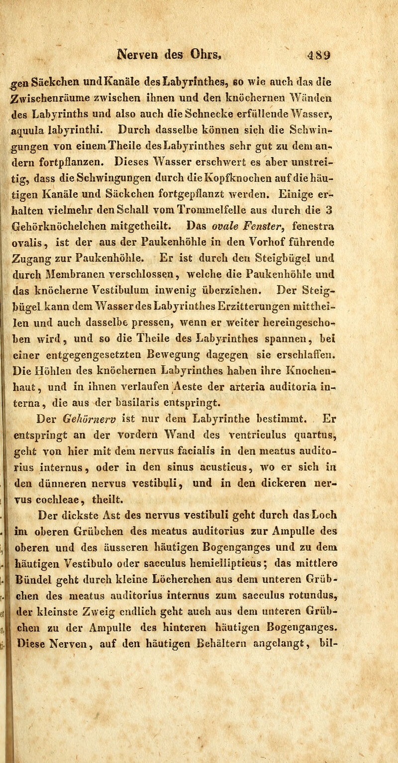 ffen Säckchen undKanäle des Labyrinthes, so wie auch das die Zwischenräume zwischen ihnen und den knöchernen Wänden des Labyrinths und also auch die Schnecke erfüllende Wasser, aijuula labyrinthi. Durch dasselbe können sich die Schwin- gungen von einem Theile des Labyrinthes sehr gut zu dem an- dern fortpflanzen. Dieses Wasser erschwert es aber unstrei- tig, dass die Schwingungen durch dielvopfknochen auf die häu- tigen Kanäle und Säckchen fortgepflanzt vt'erden. Einige er- halten vielmehr den Schall vom Trommelfelle aus durch die 3 Gehörknöchelchen mitgetheilt. Das ovale Fenster, fenestra ovalis, ist der aus der Paukenhöhle in den Vorhof führende Zugang zur Paukenhölile. Er ist durch den Steigbügel und durch Membranen verschlossen, welche die Paukenhöhle und das knöcherne Vestibulum inwenig überziehen. Der Steig-» bügel kann dem Wasser des Labyrinthes Erzitterungen mitthei- len und auch dasselbe pressen, wenn er weiter hereingescho-t ben wird, und so die Theile des Labyrinthes spannen, bei einer entgegengesetzten Bewegung dagegen sie erschlaffen. Die Höhlen des knöchernen Labyrinthes haben ihre Knochen- haut , und in ihnen verlaufen Aeste der arteria auditoria in- terna , die aus der basilaris entspringt. Der Gehörnerv ist nur dem Labyrinthe bestimmt. Er entspringt an der vordem Wand des ventriculus quartus, geht von hier mit dem nervus facialis in den meatus audito- rius internus, oder in den sinus acusticus, wo er sich in den dünneren nervus vestibuli, und in den dickeren ner- vus Cochleae, theilt. Der dickste Ast des nervus vestibuli geht durch das Loch im oberen Grübchen des meatus auditorius zur Ampulle des oberen und des äusseren häutigen Bogenganges und zu dem häutigen Vestibulo oder sacculus hemieiiipticus; das mittlere Bündel geht durch kleine Löcherchen aus dem unteren Grüb- chen des meatus auditorius internus zum sacculus rotundus^ der kleinste Zweig endlich geht auch aus dem unteren Grüb- chen zu der Ampulle des hinteren häutigen Bogenganges. Diese Nerven, auf den häutigen Behältern angelangt, bil-