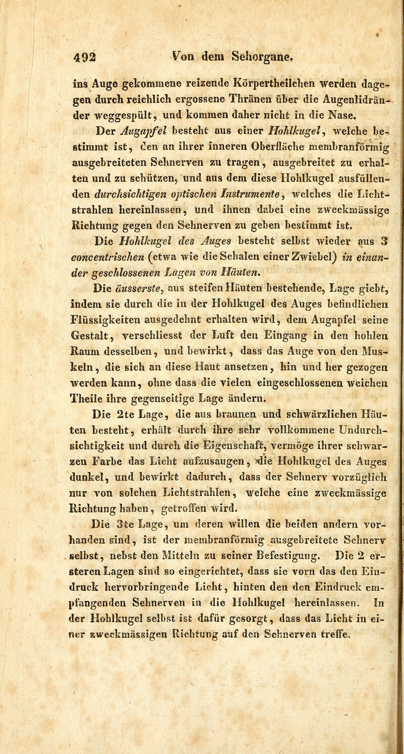 ins Auge gekommene reizende Körpertheilchen werden dage- gen durch reichlich ergossene Thränen üLer die Augenlidrän- der weggespült, und kommen daher nicht in die Nase, Der Augapfel besteht aus einer Hohlkugel, welche be- stimmt ist, den an ihrer inneren Oberflüche membranförmig ausgebreiteten Sehnerven zu tragen, ausgebreitet zu erhal- ten und zu schützen, und aus dem diese Hohlkugel ausfüllen- den durchsichtigen optischen Instrumente, welches die Licht- strahlen hereinlassen, und ihnen dabei eine zweckmässige Richtung gegen den Sehnerven zu geben bestimmt ist. Die Hohlkugel des Auges besteht selbst wieder aus 3 concenti'ischen {^tws. wie die Schalen einer Zwiebel) in einan- der geschlossenen Lagen von Häuten.. Die äusserste, aus steifen Häuten bestehende, Lage giebt, indem sie durch die in der Hohlkugel des Auges befindlichen Flüssigkeiten ausgedehnt erhalten wird, dem Augapfel seine Gestalt, yerschliesst der Luft den Eingang in den hohlen Raum desselben, und bewirkt, dass das Auge von den Mus- keln , die sich an diese Haut ansetzen, hin und her gezogen werden kann, ohne dass die vielen eingeschlossenen weichen Theile ihre gegenseitige Lage ändern. Die 2te Lage, die aus braunen und schwärzlichen Häu- ten besteht, erhält durch ihre sehr vollkommene Undurch- sichtigkeit und durch die Eigenschaft, vermöge ihrer schwar- zen Farbe das Licht aufzusaugen, >die Hohlkugel des Auges dunkel, und bewirkt dadurch, dass der Sehnerv vorzüglich nur von solchen Lichtstrahlen, welche eine zweckmässige Richtung haben, getroffen wird. Die 3te Lage, um deren willen die beiden andern vor- handen sind, ist der membranförmig ausgebreitete Sehnerv selbst, nebst den Mitteln zu seiner Befestigung. Die 2 er- Bteren Lagen sind so eingerichtet, dass sie vorn das den Ein- druck hervorbringende Licht, hinten den den Eindruck em- pfangenden Sehnerven in die Hohlkugel hereinlassen. In der Hohlkugel selbst ist dafür gesorgt, dass das Licht in ei- ner zweckmässigen Richtung auf den Sehnerven treffe.