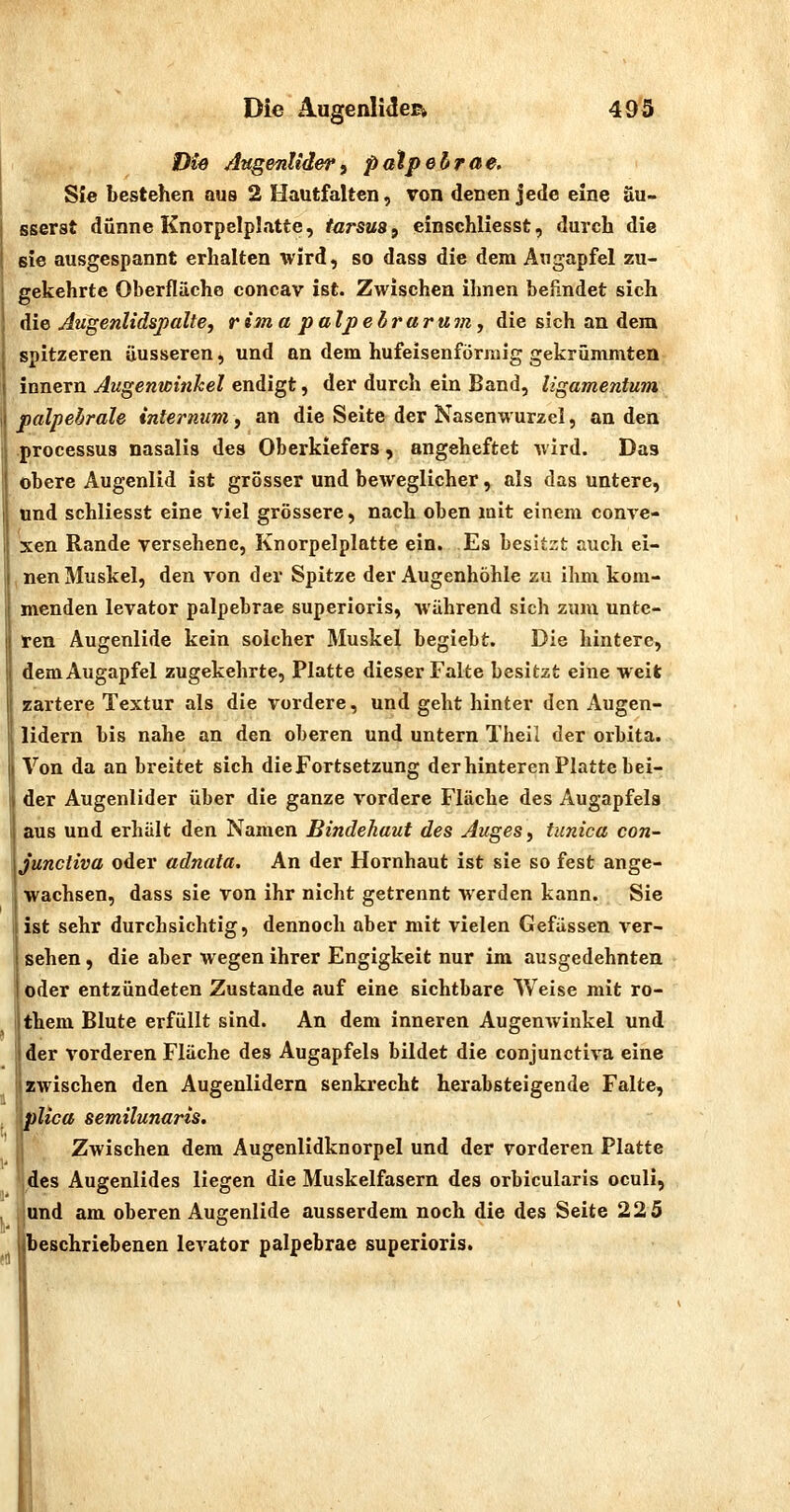 .1 Die AugenlidcEi 49'S Die Augenliderf palpebrae, Sie bestehen aus 2 Hautfalten, von denen jede eine äu- sserst dünne Knorpelplatte, tarsua^ einschliesst, durch die sie ausgespannt erhalten wird, so dass die dem Augapfel zu- frekehrtc Oberfläche concav ist. Zwischen Ihnen befindet sich die Augenlidspalte, rima palpelraruirij die sich an dem spitzeren üusseren, und an dem hufeisenförmig gekrümmten Innern Augenwinhel endigt, der durch ein Band, ligamentum palpebrale internum, an die Seite der Nasenwurzel, an den .processua nasalis des Oberkiefers, angeheftet wird. Das obere Augenlid Ist grösser und beweglicher, als das untere, und schliesst eine viel grössere, nach oben mit einem conve- xen Rande versehene, Knorpelplatte ein. Es besitzt auch ei- ,nen Muskel, den von der Spitze der Augenhöhle zu ihm kom- menden levator palpebrae superioris, während sich zum untc- iren Augenlide kein solcher Muskel begiebt. Die hintere, dem Augapfel zugekehrte, Platte dieser Falte besitzt eine weit zartere Textur als die vordere, und geht hinter den Augen- lidern bis nahe an den oberen und untern Theil der orbita. Von da an breitet sich die Fortsetzung derhinteren Platte bei- der Augenlider über die ganze vordere Fläche des Augapfels aus und erhält den Namen Bindehaut des Auges, tunica con- Junctiva oder adnata. An der Hornhaut ist sie so fest ange- wachsen, dass sie von Ihr nicht getrennt werden kann. Sie ist sehr durchsichtig, dennoch aber mit vielen Gefässen ver- sehen , die aber wegen ihrer Engigkeit nur im ausgedehnten oder entzündeten Zustande auf eine sichtbare Weise mit ro- them Blute erfüllt sind. An dem inneren Augenwinkel und der vorderen Fläche des Augapfels bildet die conjunctiva eine zwischen den Augenlidern senkrecht herabsteigende Falte, pUca semilunaris. Zwischen dem Augenlidknorpel und der vorderen Platte (des Augenlides liegen die Muskelfasern des orbicularis oculi, und am oberen Augenlide ausserdem noch die des Seite 225 beschriebenen levator palpebrae superioris.