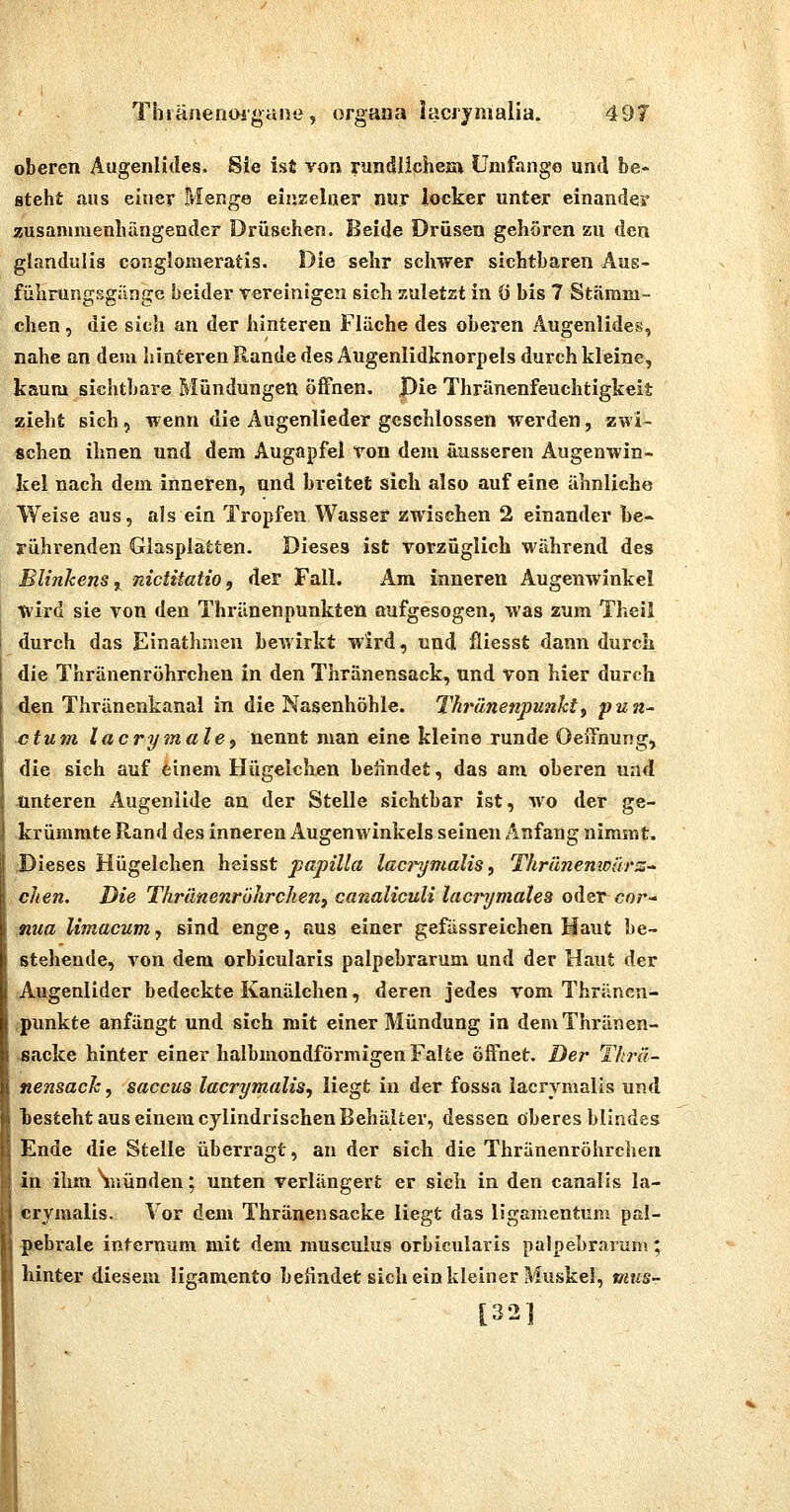 Thiäaenoigane, Organa lacijnialia. 49T oberen Augenlides. Sie ist von rundlicheia Umfange und be- steht aus einer Menge einzelner nur locker unter einander zusammenluingender Drüsehen. Beide Drüsen gehören zu den glandulis conglomeratis. Die sehr schwer sichtbaren Aus- führungsgänge beider vereinigen sich suletzt in ö bis 7 Stamm- chen, die sich an der hinteren Fläche des oberen Augenlides, nahe an dem hinteren Rande des Äugenlidknorpels durch kleine, kaum sichtbare Mündungen öffnen. X)ie Thränenfeuchtigkeit zieht sich, wenn die Augenlieder geschlossen werden, zwi- schen ihnen und dem Äugapfel von dem äusseren Augenwin- kel nach dem inneren, und breitet sich also auf eine ähnliche Weise aus, als ein Tropfen Wasser zwischen 2 einander be- rührenden Glasplätten. Dieses ist vorzüglich während des Blinhens ^ nictitatio, der Fall. Am inneren Augenwinkel wird sie von den Thränenpunkten aufgesogen, was zum Theil durch das Einathmeu bewirkt wird, und fliesst dann durch die Thränenröhrchen in den Thränensack, und von hier durch den Thränenkanal in die Nasenhöhle. Thränenpunht, pun- ctum lacrymale^ nennt man eine kleine runde OeiThung, die sich auf tinem Hügelchen beiindet, das am oberen und unteren Augenlide an der Stelle sichtbar ist, wo der ge- krümmte Rand des inneren Augenwinkels seinen Anfang nimmt. Dieses Hügelchen heisst jpapilla laaymalis, Thränenwärz^ chen. Die Thränenröhrchen^ canaliculi lacrymales oder cor- Mua limacum, sind enge, nus einer gefüssreichen Haut be- stehende, von dem orbicularis palpebrarum und der Haut der Augenlider bedeckte Kanälchen, deren jedes vom Thräncn- ipunkte anfängt und sich mit einer Mündung in demThränen- sacke hinter einer halbmondförmigen Falte öffnet. Der Thrä- nensack , Saccus lacrymalis, liegt in der fossa iacrymalis und hesteht aus einem cylindrischen Behälter, dessen oberes blindes Ende die Stelle überragt, an der sich die Thränenröhrchen in ihm Suünden; unten verlängert er sich in den canaüs Ia- crymalis. Vor dem Thränensacke liegt das ligamentum pal- pebrale infernum mit dem musculus orbicularis palpebrarum; hinter diesem ligamento beendet sich ein kleiner Muskel, vius- [32]