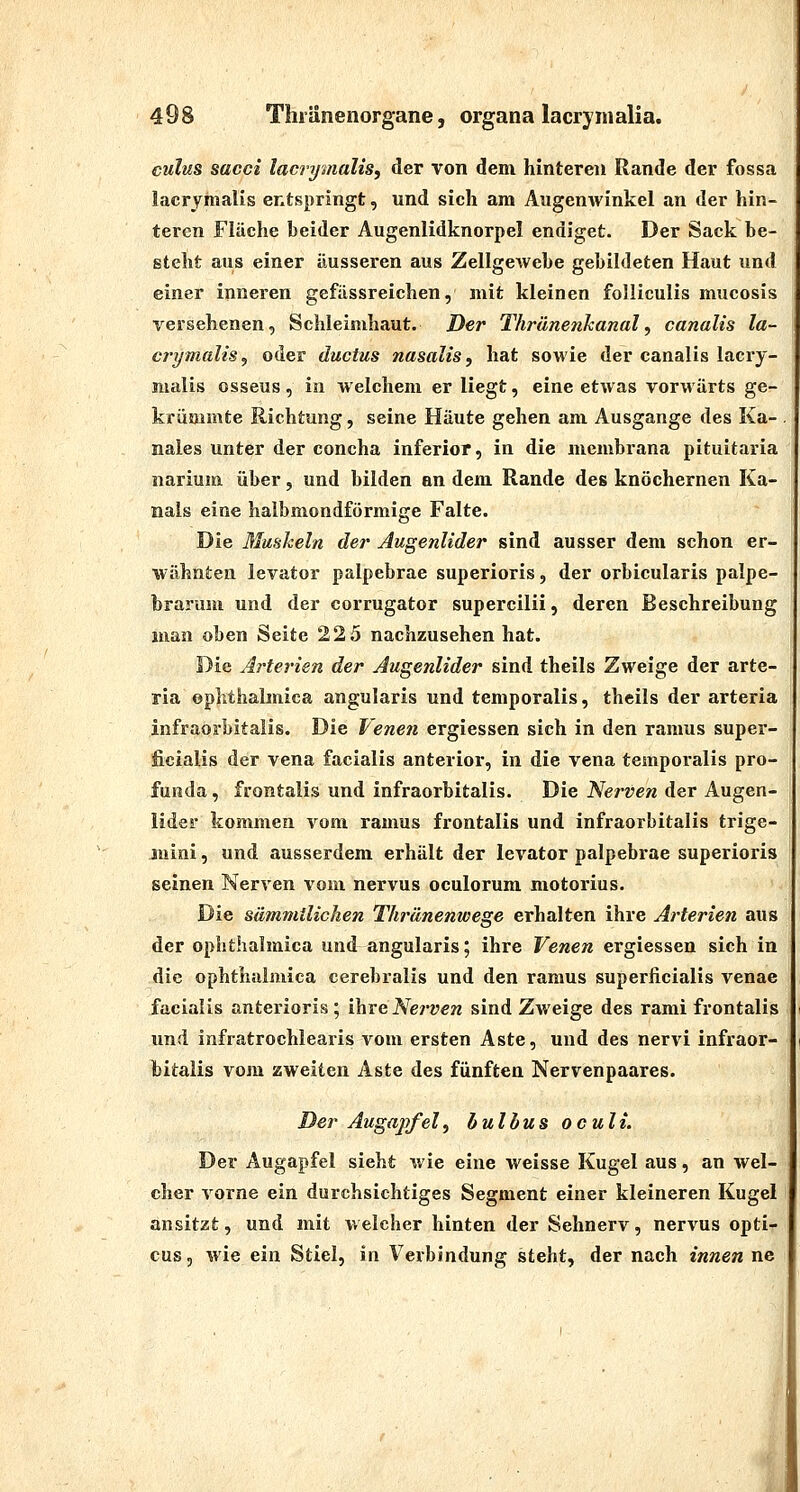 culus sacci lact-ymalis, der von dem hinteren Rande der fossa lacrymalis entspringt, und sich am Augenwinkel an der hin- teren Flüche beider Augenlidknorpel endiget. Der Sack be- steht aus einer äusseren aus Zellgewebe gebildeten Haut und einer inneren gefässreichen, mit kleinen folliculis mucosis versehenen, Schleimhaut. Der Thrünenlcanal, canalis la- crymalis, oder ductus nasalis, hat sowie der canalis lacry- malis osseus, in welchem er liegt, eine etwas vorwärts ge- krümmte Richtung, seine Häute gehen am Ausgange des Ka- nales unter der concha inferior, in die membrana pituitaria narium über, und bilden an dem Rande des knöchernen Ka- nals eine halbmondförmige Falte. Die Mushein der Augenlider sind ausser dem schon er- wähnten levator palpebrae superioris, der orbicularis palpe- brarum und der corrugator supercilii, deren Beschreibung man oben Seite 22 5 nachzusehen hat. Die Arterien der Augenlider sind theils Zweige der arte- ria oplithalmica angularis und temporalis, theils der arteria infraorbitalis. Die Venen ergiessen sich in den ramus super- ficialis der Vena facialis anterior, in die vena temporalis pro- funda , frontalis und infraorbitalis. Die Nerven der Augen- lider kommen vom ramus frontalis und infraorbitalis trige- niini, und ausserdem erhält der levator palpebrae superioris seinen Nerven vom nervus oculorum motorius. Die sämmilichen Thränenwege erhalten ihre Arterien aus der ophthalmica und angularis; ihre Venen ergiessen sich in die ophthalmica cerebralis und den ramus superficialis venae facialis anterioris; i}\xeNei'ven sind Zweige des rami frontalis und infratrochlearis vom ersten Aste, und des nervi infraor- bitalis vom zweiten Aste des fünften Nervenpaares. Der Augajjfel, bulbus oculi. Der Augapfel sieht wie eine weisse Kugel aus, an wel- cher vorne ein durchsichtiges Segment einer kleineren Kugel ansitzt, und mit welcher hinten der Sehnerv, nervus opti- cus, wie ein Stiel, in Verbindung steht, der nach innen ne