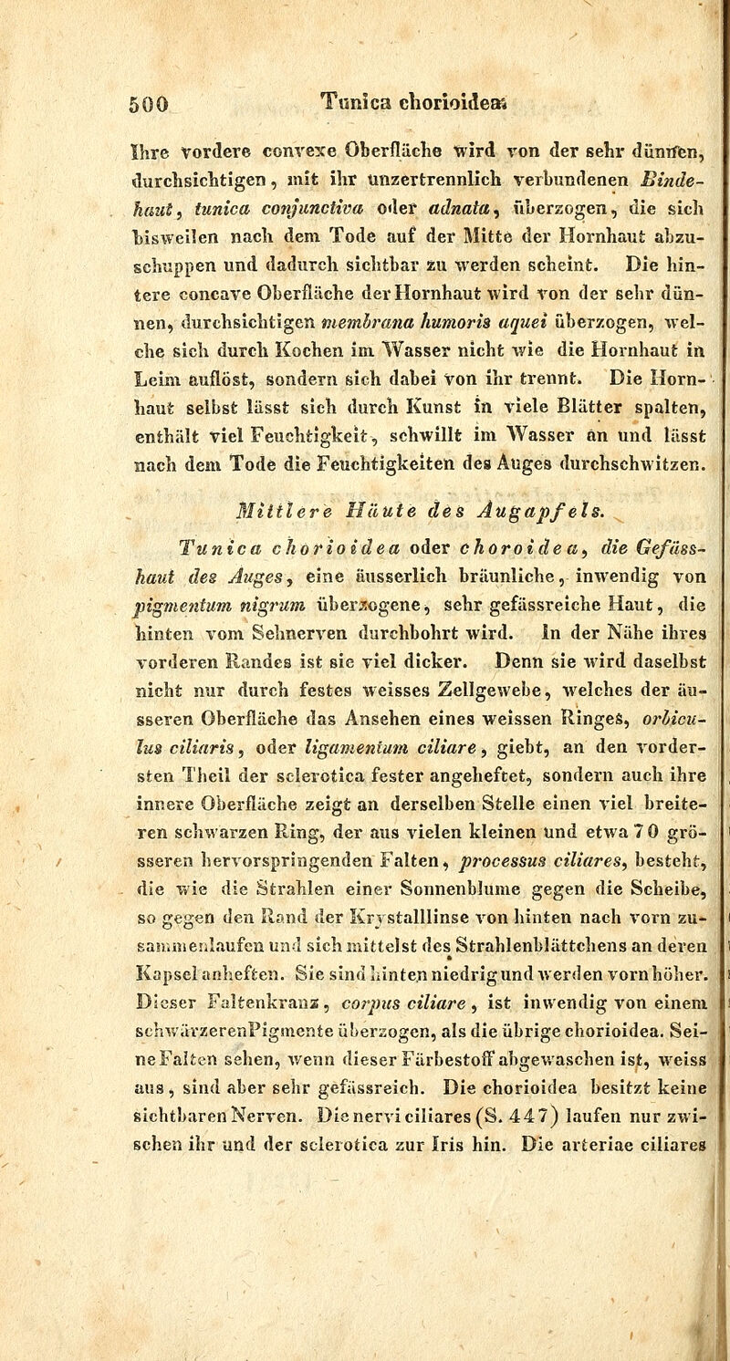 Ihre vordere convexe Oberfläche ^ivird von der sehr dünrffen, durclisiclitigen, mit ihr unzertrennlich verbundenen Binde- haut ^ tunica conjiinctiva oder adnata^ überzogen, die sich bisweilen nach dem Tode auf der Mitte der Hornhaut abzu- schuppen und dadurch sichtbar zu werden scheint. Die hin- tere concave Oberfläche der Hornhaut wird von der sehr dün- nen, durchsichtigen memhrana humoris aquei überzogen, wel- che sich durch Kochen im Wasser nicht wie die Hornhaut in Leim auflöst, sondern sich dabei von ihr trennt. Die Horn- haut selbst lässt sieh durch Kunst in viele Blätter spalten, enthält viel Feuchtigkeit, schwillt im Wasser an und lässt nach dem Tode die Feuchtigkeiten des Auges durchschwitzen. Miniere Häute des Augapfels. ^ Tunica chörioidea oder choroidea^ die Gefüss- haut des Auges, eine äusserlich bräunliche, inwendig von pigmentum nigrum überzogene, sehr gefässreiche Haut, die hinten vom Sehnerven durchbohrt wird, in der Nähe ihres vorderen Randes ist sie viel dicker. Denn sie \vird daselbst nicht nur durch festes weisses Zellgewebe, welches der äu- sseren Oberfläche das Ansehen eines weissen Ringes, orlicu~ Ins ciUaris, oder ligamentum ciliare, giebt, an den vorder- sten Theil der selerotica fester angeheftet, sondern auch ihre innere Oberflüche zeigt an derselben Stelle einen viel breite- ren schwarzen Ring, der aus vielen kleinen und etwa 7 0 grö- sseren hervorspringenden Falten, processus ciliares, besteht, die wie die Strahlen einer Sonnenblume gegen die Scheibe, so gegen den Rand der Krystalllinse von hinten nach vorn zu- sanuiienlaufen und sich mittelst des Strahlenblättchens an deren Kapsei anheften. Sie sind Iiinten niedrig und werden vorn höher. Dieser Faltenkranz, corpus ciliare, ist inwendig von einem schwävzerenPigmente übersogen, als die übrige chörioidea. Sei- ne Falten sehen, wenn dieser Färbestoff* abgev.'aschen ist, w^eiss aus, sind aber sehr gefässreich. Die chörioidea besitzt keine sichtbaren Nerven. Die nervi ciliares (S. 447) laufen nur zwi- schen ihr und der selerotica zur Iris hin. Die arteriae ciliares