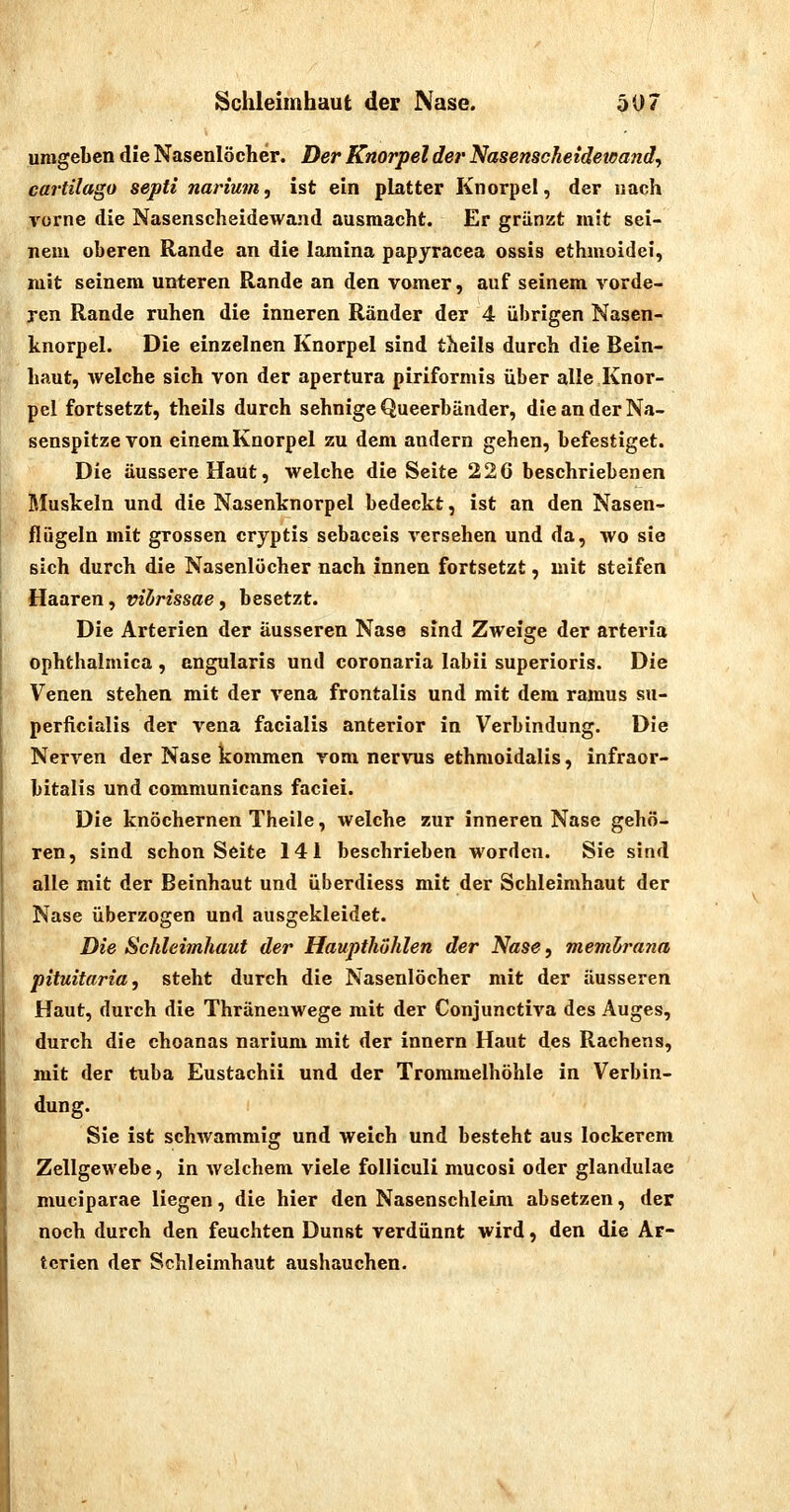 umgeben die Nasenlöcher. Der Knorpel der Nasenscheidetcanä, cartilago septi narium, ist ein platter Knorpel, der nach vorne die Nasenscheidewand ausmacht. Er gränzt mit sei- nem oberen Rande an die lamina papyracea ossis ethmoidei, mit seinem unteren Rande an den vomer, auf seinem vorde- ren Rande ruhen die inneren Ränder der 4 übrigen Nasen- knorpel. Die einzelnen Knorpel sind theils durch die Bein- haut, welche sich von der apertura piriformis über alle Knor- pel fortsetzt, theils durch sehnige Queerbänder, die an der Na- senspitze von einem Knorpel zu dem andern gehen, befestiget. Die äussere Haut, welche die Seite 22G beschriebenen Muskeln und die Nasenknorpel bedeckt, ist an den Nasen- flügeln mit grossen cryptis sebaceis versehen und da, wo sie sich durch die Nasenlöcher nach innen fortsetzt, mit steifen Haaren, vibrissae y besetzt. Die Arterien der äusseren Nase sind Zweige der arteria ophthalmica , angularis und coronaria labii superioris. Die Venen stehen mit der vena frontalis und mit dem ramus su- perficialis der Vena facialis anterior in Verbindung. Die Nerven der Nase kommen vom nervus ethmoidalis, infraor- bitalis und communicans faciei. Die knöchernen Theile, welche zur inneren Nase gehö- ren, sind schon Seite 141 beschrieben worden. Sie sind alle mit der Beinhaut und überdiess mit der Schleimhaut der Nase überzogen und ausgekleidet. Die Schleimhaut der Haupthöhlen der Nase^ memlrana pituitaria, steht durch die Nasenlöcher mit der äusseren Haut, durch die Thränenwege mit der Conjunctiva des Auges, durch die choanas narium mit der Innern Haut des Rachens, mit der tuba Eustachii und der Trommelhöhle in Verbin- dung. Sie ist schwammig und weich und besteht aus lockerem Zellgewebe, in welchem viele folliculi mucosi oder glandulae muciparae liegen, die hier den Nasenschleim absetzen, der noch durch den feuchten Dunst verdünnt wird, den die Ar- terien der Schleimhaut aushauchen. \