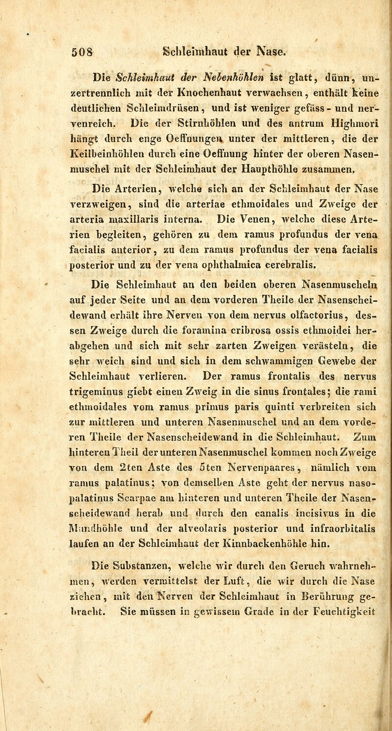 Die Schleimkaut der Nebenhöhlen ist glatt, dünn, un- zertrennlich mit der Knochenhaut verwachsen, enthält keine deutlichen Schleimdrüsen, und ist weniger gefüss- und ner- yenreich. Die der Stirnhöhlen und des antrum Highmori hängt durch enge Oeffnungeii unter der mittleren, die der Keilbeinhöhlen durch eine Oeifnung hinter der oberen Nasen- muschel mit der Schleimhaut dey Haupthöhle zusammen, Die Arterien, welche sich an der Schleimhaut der Nase verzweigen, sind die arteriae ethmoidales und Zweige der arteria maxillaris interna. Die Venen, welche diese Arte- rien begleiten, gehören zu dem ramus profundus der vena facialis anterior, zu dem ramus profundus der vena facialis posterior und zu der vena ophthabnica cerebralis. Die Schleimhaut au den beiden oberen Nasenmuscheln auf jeder Seite und an dem vorderen Theile der Nasenschei- dewand erhält ihre Nerven von dem nervus olfactorius, des- sen Zweige durch die foramina cribrosa ossis ethmoidei her- abgehen und sich mit sehr zarten Zweigen verästeln, die sehr weich sind und sich in dem schwammigen Gewebe der Schleimhaut verlieren. Der ramus frontalis des nervus trigeminus giebt einen Zweig in die sinus frontales; die rami ethmoidales vom ramus primus paris quinti verbreiten sich zur mittleren und unteren Nasenmuschel und an dem vorde- ren Theile der Nasenscheidewand in die Schleimhaut. Zum hinteren Theii der unteren Nasenmuschel kommen noch Zweige von dem 2tcn Aste des 5ten Nervenpaares, nämlich vom ramus palatinus; von demselben Aste geht der nervus naso- palatinus Scarpae am hinteren und unteren Theile der Nasen- sciieidewand herab und durch den canalis incisivus in die Mundhöhle und der alveolaris posterior und infraorbitalis laufen an der Schleimhaut der Kinnbackenhöhle hin. Die Substanzen, welche wir durch den Geruch wahrneh- men , werden vermittelst der Luft, die wir durch die Nase ziehen, mit den Nerven der Schleimhaut in Berührung ge- bracht. Sie müssen in gewissem Grade in der Feuchtigkeit /