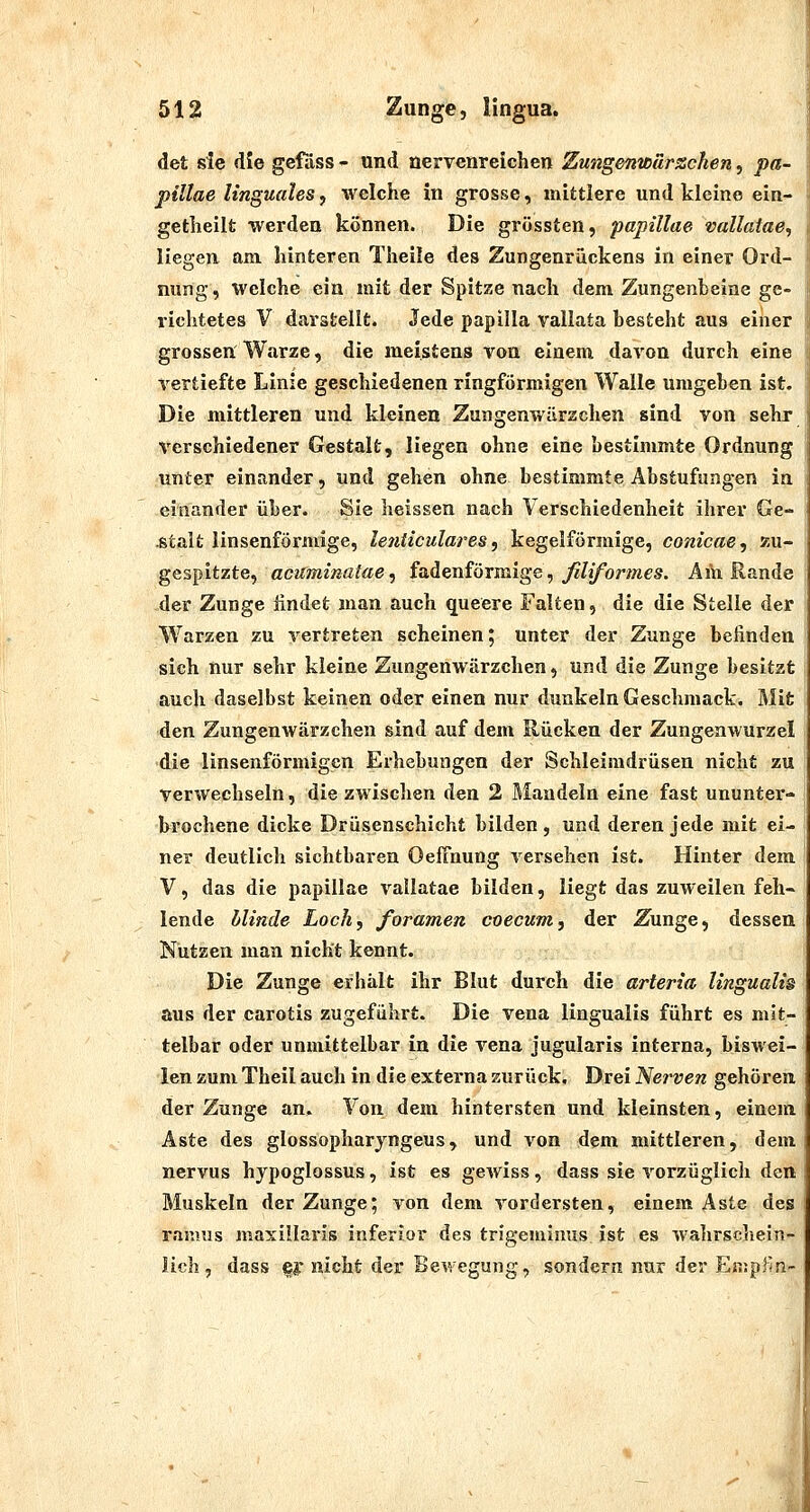 det sie die gcfdss - und nervenreichen Zungenwärsschen, pa- pillae linguales, welche in grosse, mittlere und kleine ein- getheilt werden können. Die grössten, pupillae vallatae, liegen am hinteren Theile des Zungenrückens in einer Ord- nung, welche ein mit der Spitze nach dem Zungenbeine ge- richtetes V darstellt. Jede papilla vallata besteht aus einer grossen Warze, die meistens von einem davon durch eine vertiefte Linie geschiedenen ringförmigen Walle umgeben ist. Die mittleren und kleineu Zungenwärzcheu sind von sehr verschiedener Gestalt, liegen ohne eine bestimmte Ordnung unter einander, und gehen ohne bestimmte Abstufungen in einander über. Sie heissen nach Verschiedenheit ihrer Ge- .stalt linsenförmige, le?iticulares, kegelförmige, conicae, zu- gespitzte, acuminatae, {adenförmige, ßliformes. Am Rande der Zunge findet man auch queere Falten, die die Stelle der Warzen zu vertreten scheinen; unter der Zunge belinden sich nur sehr kleine Zungenwärzchen, und die Zunge besitzt auch daselbst keinen oder einen nur dunkeln Geschmack. Mit den Zungenwärzchen sind auf dem Rücken der Zungenwurzel die linsenförmigen Erhebungen der Schleimdrüsen nicht zu verwechseln, die zwischen den 2 Mandeln eine fast ununter- brochene dicke Drüsenschicht bilden , und deren jede mit ei- ner deutlich sichtbaren Oeffnung versehen ist. Hinter dem V, das die papillae vaüatae bilden, liegt das zuweilen feh« lende hlinde Loch, foramen coecum, der Eiunge, dessen Nutzen man nicht kennt. Die Zunge erhält ihr Blut durch die arteria lingualis aus der carotis zugeführt. Die Vena lingualis führt es mit- telbar oder unmittelbar in die vena jugularis interna, biswei- len zum Theil auch in die externa zurück. Drei Nef^ven gehören der Zunge an. Von dem hintersten und kleinsten, einem Aste des glossopharyngeus, und von dem mittleren, dem nervus hypoglossus, ist es gewiss, dass sie vorzüglich den Muskeln der Zunge; von dem vordersten, einem Äste des ranms maxillaris inferior des trigeminus ist es wahrschein- lich, dass (Bj: nicht der Bewegung, sondern nur der Eniplin-