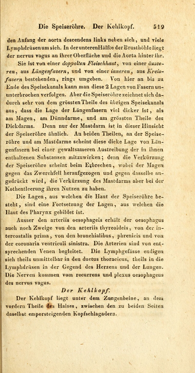 den Anfang der aorta descendens links neben sich, und riele Iiymphdrüsenum sich. In derunterenHälfte derBrusthöhleliegt der neryus vagus an ihrer Oberfläche und die Aorta hinter ihr. Sie ist vun einer doppelten Fleischhaut, von einer äusse- ren, aus Längenfasern, und von em&v inneren^ aus Kreis^ fasern bestehenden, rings umgeben. Von hier an bis zu Ende des Speisekanals kann man diese 2 Lagen von Fasern un- unterbrochen verfolgen. Aber die Speiseröhre zeichnet sich da- durch sehr von dem grösstenTheile des übrigen Speisekanalg aus, dass die Lage der Längenfaseru viel dicker ist, als am Magen, am Dünndarme, und am grössten Theile des Dickdarms. Denn nur der Mastdarm ist in dieser Hinsicht der Speiseröhre ähnlich. An beiden Theilen, an der Speise- röhre und am Mastdarme scheint diese dicke Lage von Lün- genfasern bei einer gewaltsameren Austreibung der in ihnen enthaltenen Substanzen mitzuwirken; denn die Verkürzung der Speiseröhre scheint beim Erbrechen, wobei der Magen gegen das Zwerchfell heraufgezogen und gegen dasselbe an- gedrückt wird, die Verkürzung des Mastdarms aber bei dei Kothentleerung ihren Nutzen zu haben. Die Lagen, aus welchen die Haut der Speiseröhre be- steht , sind eine Fortsetzung der Lagen, aus welchen die Haut des Pharynx gebildet ist. Ausser den arteriis oesophageis erhält der Oesophagus auch noch Zweige von den arteriis thyreoideis, von der in- tercostalis prima , von den bronchialibus, phrenicis und von der coronaria ventriculi sinistra. Die Arterien sind von ent- sprechenden Venen begleitet. Die Lymphgefässe endigen sich theils unmittelbar in den ductus thoracicus, theils in die Lymphdrüsen in der Gegend des Herzens und der Lungen. Die Nerven kommen vom recurrens und plexus oesophageus des nervus vagus. Der Kehlkopf Der Kehlkopf liegt unter dem Zungenbeine, an dem vordem Theile des Halses, zwischen den zu beiden Seiten daselbst emporsteigenden Kopfschlagadern.