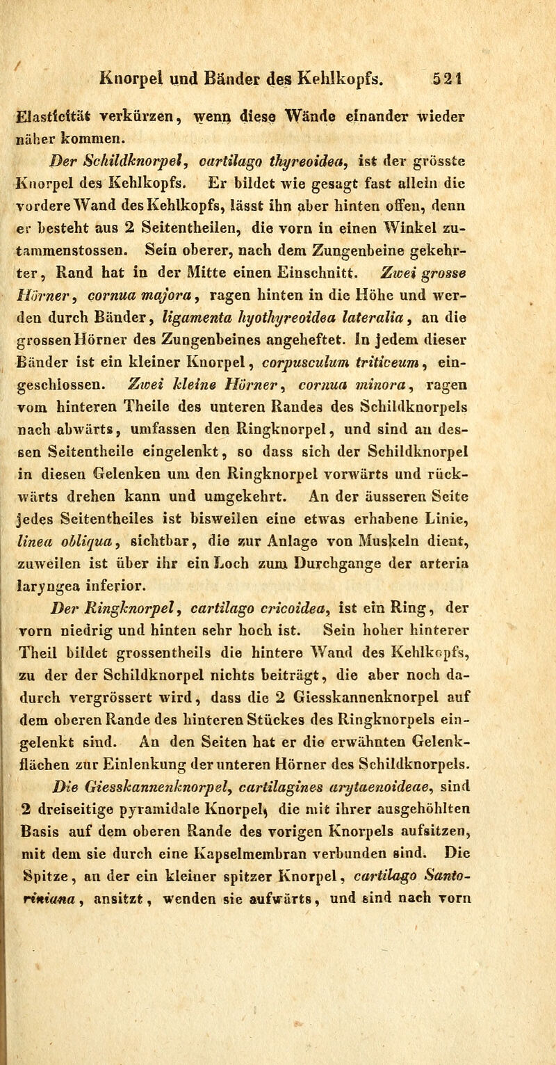 Elastfcftät verküi'zen, weni) diese Wände einander wieder näher kommen. Der Schildknorpel, oartilago thyreoidea, ist der grösste Knorpel des Kehlkopfs. Er bildet wie gesagt fast allein die vordere Wand des Kehlkopfs, lässt ihn aber hinten offen, denn er besteht aus 2 Seitentheilen, die vorn in einen Winkel zu- tammenstossen. Sein oberer, nach dem Zungenbeine gekehr- ter , Rand hat in der Mitte einen Einschnitt. Zwei grosse Homer, cornua majora, ragen hinten in die Höhe und wer- den durch Bänder, ligamenta hyothyreoidea lateralia, an die grossen Hörner des Zungenbeines angeheftet. In jedem dieser Bänder ist ein kleiner Knorpel, corpusculum triticeum, ein- geschlossen. Ztoei kleine Hörner, cornua minora, ragen vom hinteren Theile des unteren Randes des Schildknorpels nach abwärts, umfassen den Ringknorpel, und sind an des- sen Seitentheile eingelenkt, so dass sich der Schildknorpel in diesen Gelenken um den Ringknorpel vorwärts und rück- wärts drehen kann und umgekehrt. An der äusseren Seite jedes Seitentheiles ist bisweilen eine etAvas erhabene Linie, linea obliqua, sichtbar, die «ur Anlage von Muskeln dient, zuweilen ist über ihr ein Loch zum Durchgange der arteria larj'ngea inferior. Der Ringknorpelf oartilago cricoidea, ist ein Ring, der vorn niedrig und hinten sehr hoch ist. Sein hoher hinterer Theil bildet grossentheils die hintere Wand des Kehlkopfs, zu der der Schildknorpel nichts beiträgt, die aber noch da- durch vergrössert wird, dass die 2 Giesskannenknorpel auf dem oberen Rande des hinteren Stückes des Ringknorpels ein- gelenkt sind. An den Seiten hat er die erwähnten Gelenk- flächen zur Einlenkung der unteren Hörner des Schildknorpels. Die Giesskannenknorpel, cartilagines arytaenoideae^ sind 2 dreiseitige pyramidale Knorpel^ die mit ihrer ausgehöhlten Basis auf dem oberen Rande des vorigen Knorpels aufsitzen, mit dem sie durch eine Kapselmembran verbunden sind. Die Spitze, an der ein kleiner spitzer Knorpel, cartilaßO Santo- riniana , ansitzt, wenden sie aufwärts, und sind nach vorn