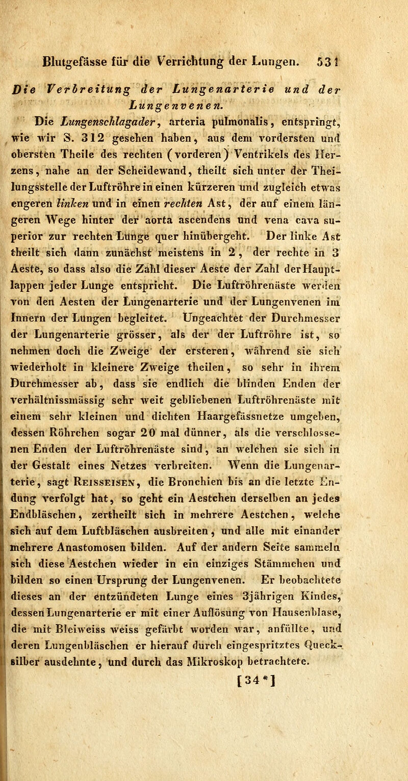 Blutgefässe für die Verrichtung der Lungen. 53 1 Die Verbreitung der Lungenarterie und der Lungenvenen. Die Lungenscklagader, arteria pulmonalis, entspringt, wie -wir S. 312 gesehen haben ^ aus dem vordersten und obersten Theile des rechten (vorderen) Ventrikels des Her- zens, nahe an der Scheidewand, theilt sich unter der Thei- lungsstelle der Luftrohre in einen kürzeren und zugleich etwas engeren linken und in einen rechten Ast, der auf einem län- geren Wege hinter der aörta ascendens und Vena cava su- perior zur rechten Lunge quer hinübergeht. Der linke Ast theilt sich dann zunächst meistens in 2, der rechte in 3 Aeste, so dass also die Zahl dieser Aeste der Zahl der Haupt- lappen jeder Lunge entspricht. Die Luftröhrenäste werden von den Aesten der Lungenarterie und der Lungenvenen im Innern der Lungen begleitet. Ungeachtet der Durchmesser der Lungenarterie grösser, als der der Luftröhre ist, so nehmen doch die Zweige der ersteren, Avährend sie sich wiederholt in kleinere Zweige theilen, so sehr in ihrem Durchmesser ab, dass sie endlich die blinden Enden der verhältnissmässig sehr weit gebliebenen Luftröhrenäste mit einem sehr kleinen und dichten Haargefässnetze umgeben, dessen Röhrchen sogar 20 mal dünner, als die verschlosse- nen Enden der Luftröhrenäste sind, an welchen sie sich in der Gestalt eines Netzes verbreiten. Wenn die Lungen.ir- terie, sagt Reisseisen, die Bronchien bis an die letzte En- dung verfolgt hatj so geht ein Aestchen derselben an jedes Endbläschen, zertheilt sich in mehrere Aestchen, welche sich auf dem Luftbläschen ausbreiten, und alle mit einander mehrere Anastomosen bilden. Auf der andern Seite sammeln sich diese Aestchen wieder in ein einziges Stämmchen und bilden so einen Ursprung der Lungenvenen. Er beobachtete dieses an der entzündeten Lunge eines 3jährigen Kindes,' dessen Lungenarterie er mit einer Auflösung von Hausenblase, die mit Bleiweiss weiss gefärbt worden war, anfüllte, und deren Lungenbläschen er hierauf durch eingespritztes Queck- silber ausdehnte, und durch das Mikroskop betrachtete. [34*1