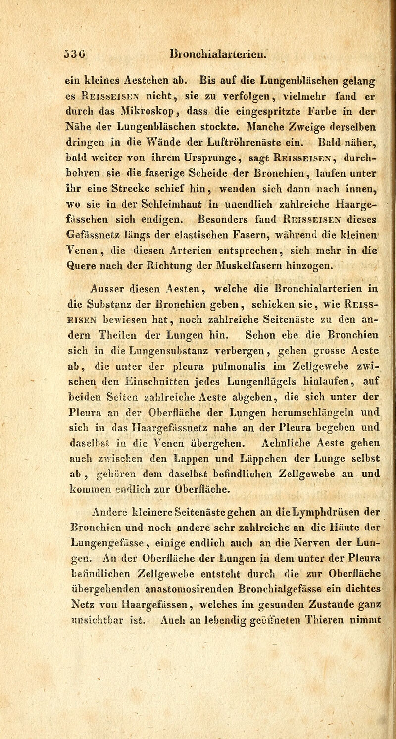 5 3 G ßronchialai'terien. ein kleines Aestchen ab. Bis auf die Lungenbläschen gelang CS Reisseisen nicht, sie zu verfolgen, vielmehr fand er durch das Mikroskop, dass die eingespritzte Farbe in der Nähe der Lungenbläschen stockte. Manche Zweige derselben dringen in die Wände der Luftröhrenäste ein. Bald näher, bald weiter von ihrem Ursprünge, sagt Reisseisen, durch- bohren sie die faserige Scheide der Bronchien, laufen unter ihr eine Strecke schief hin, wenden sich dann nach innen, wo sie in der Schleimhaut in unendlich zahlreiche Haarge- fässchen sich endigen. Besonders fand Reisseisen dieses Gefässnetz längs der elastischen Fasern, während die kleinen' Venen, die diesen Arterien entsprechen, sich mehr in die Quere nach der Richtung der Muskelfasern hinzogen. Ausser diesen Aesten, welche die Bronchialarterien in die Substanz der Bronchien geben, schicken sie, wie Reiss- eisen bewiesen hat, noch zahlreiche Seitenäste zu den an- dern Theilen der Lungen hin. Schon ehe die Bronchien sich in die Lungensubstanz verbergen, gehen grosse Aeste ab, die unter der pleura pulmonalis im Zellgewebe zwi- schen den Einschnitten jedes Lungenflügels hinlaufen, auf beiden Seiten zahlreiche Aeste abgeben, die sich unter der Pleura an der Oberfläche der Lungen herumschlängeln und 1 sich in das Haargefässnetz nahe an der Pleura begeben und daselbst in die Venen übergehen. Aehnliche Aeste gehen auch zwischen den Lappen und Läppchen der Lunge selbst ab , gehören dem daselbst befindlichen Zellgewebe an und kommen endlich zur Oberfläche. Andere kleinere Seitenäste gehen an die Lymphdrüsen der Bronchien und noch andere sehr zahlreiche an die Häute der Lungengefässe, einige endlich auch an die Nerven der Lun- gen. An der Oberfläche der Lungen in dem unter der Pleura beiindlichen Zellgewebe entsteht durch die zur Oberfläche übergehenden anastomosirenden Bronchialgefässe ein dichtes Netz von Haargefässen, welches im gesunden Zustande ganz unsichtbar ist. Auch an lebendig geiiß'neten Thieren nimmt