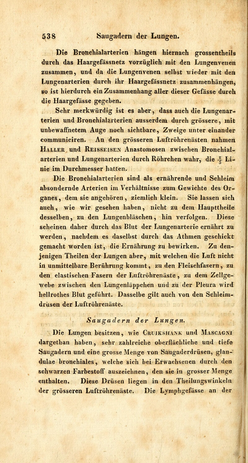 Die Bronchialarterien hängen hiernach grossentheils durch das Haargefässnetz vorzüglich mit den Lungenvenen zusammen) und da die Lungenvenen selbst wieder mit den Lungenarterien durch ihr Haargefässnetz zusammenhängen, so ist hierdurch ein Zusammenhang aller dieser Gefässe durch die Haargefässe gegeben. Sehr merkwürdig ist es aber, dass auch die Lungenar- terien und Bronchialarterien ausserdem durch grössere, mit unbewaffnetem Auge noch sichtbare, Zweige unter einander communiciren. An den grosseren Luftröhrenästen nahmen Haller und Reisseisen Anastomosen zwischen Bronchial- arterien und Lungenarterien durch Röhrchen wahr, die 4- Li- nie im Durchmesser hatten. Die Bronchialarterien sind als ernährende und Schleim absondernde Arterien im Verhältnisse zum Gewichte des Or- ganes, dem sie angehören, ziemlich klein. Sie lassen sich auch, wie wir gesehen haben, nicht zu dem Haupttheile desselben, zu den Lungenbläschen, hin verfolgen. Diese scheinen daher durch das Blut der Lungenarterie ernährt zu werden, nachdem es daselbst durch das Athmen geschickt gemacht worden ist, die Ernährung zu bewirken. Zu den- jenigen Theilen der Lungen aber, mit welchen die Luft nicht in unmittelbare Berührung kommt, zu den Fleischfasern, zu den elastischen Fasern der Luftröhrenäste, zu dem Zellge- Avebe zwischen den Lungenläppchen und zu der Pleura wird hellrothes Blut geführt. Dasselbe gilt auch von den Schleim- drüsen der Luftröhrenäste. Saugadern der Lungen. Die Lungen besitzen, wie Cruikshank und Mascagni dargethan haben, sehr zahlreiche oberflächliche und tiefe Saugadern und eine grosse Menge von Saugaderdrüsen, glan- dulae bronchiales, welche sich bei Erwachsenen durch den schAvarzen Farbestoff auszeichnen, den sie in grosser Menge enthalten. Diese Drüsen liegen in den Theilungswinkeln der grösseren Luftröhrenäste. Die Lymphgefässe an der