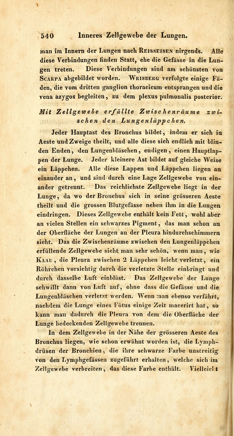 man im Innern der Lungen nach Reisseisen nirgends. Alle diese Verbindungen finden Statt, ehe die Gefässe in die Lun- gen treten. Diese Verbindungen sind am schönsten von ScARPA abgebildet worden. Wrisberg verfolgte einige Fä- den, die vom dritten ganglion thoracicum entsprangen und die Vena azygos begleiten, zu dem plexus pulmonalis posterior. Mit Zellgewebe erfüllte Zwischenräume zwi sc he 71 den Lungenläppchen. Jeder Hauptast des Bronchus bildet, indem er sich in Aeste und Zweige theilt, und alle diese sich endlich mit blin- den Enden, den Lungenbläschen, endigen, einen Hauptlap- pen der Lunge. Jeder kleinere Ast bildet auf gleiche Weise ein Läppchen. Alle diese Lappen und Läppchen liegen an einander an, und sind durch eine Lage Zellgewebe von ein- ander getrennt. Das reichlichste Zellgewebe liegt in der Lunge, da wo der Bronchus sich in seine grösseren Aeste theilt und die grossen Blutgefässe neben ihm in die Lungen eindringen. Dieses Zellgewebe enthält kein Fett, wohl aber an vielen Stellen ein schwarzes Pigment, das man schon an der Oberfläche der Lungen an der Pleura hindurchschimmern sieht. Das die Zwischenräume zwischen den Lungenläppchen erfüllende Zellgewebe sieht man sehr schön, wenn man, Avie Kaau , die Pleura zwischen 2 Läppehen leicht verletzt, ein Röhrchen vorsichtig durch die verletzte Stelle einbringt und durch dasselbe Luft einbläst. Das ZellgcAvebe der Lunge schwillt dann von Luft auf, ohne dass die Gefässe und die Lungenbläschen verletzt Averden. Wenn man ebenso verführt, nachdem die Lunge eines Fötus einige Zeit macerirt hat, so kann man dadurch die Pleura von dem die Oberfläche der Lunge bedeckenden Zellgewebe trennen. In dem Zellgewebe in der Nähe der grösseren Aeste des Bronchus liegen, wie schon erwähnt worden ist, die Lymph- drüsen der Bronchien, die ihre schwarze Farbe unstreitig von den Lymphgefässen zugeführt erhalten, welche sich im Zellgewebe verbreiten, das diese Farbe enthält. Vielleiclt m.