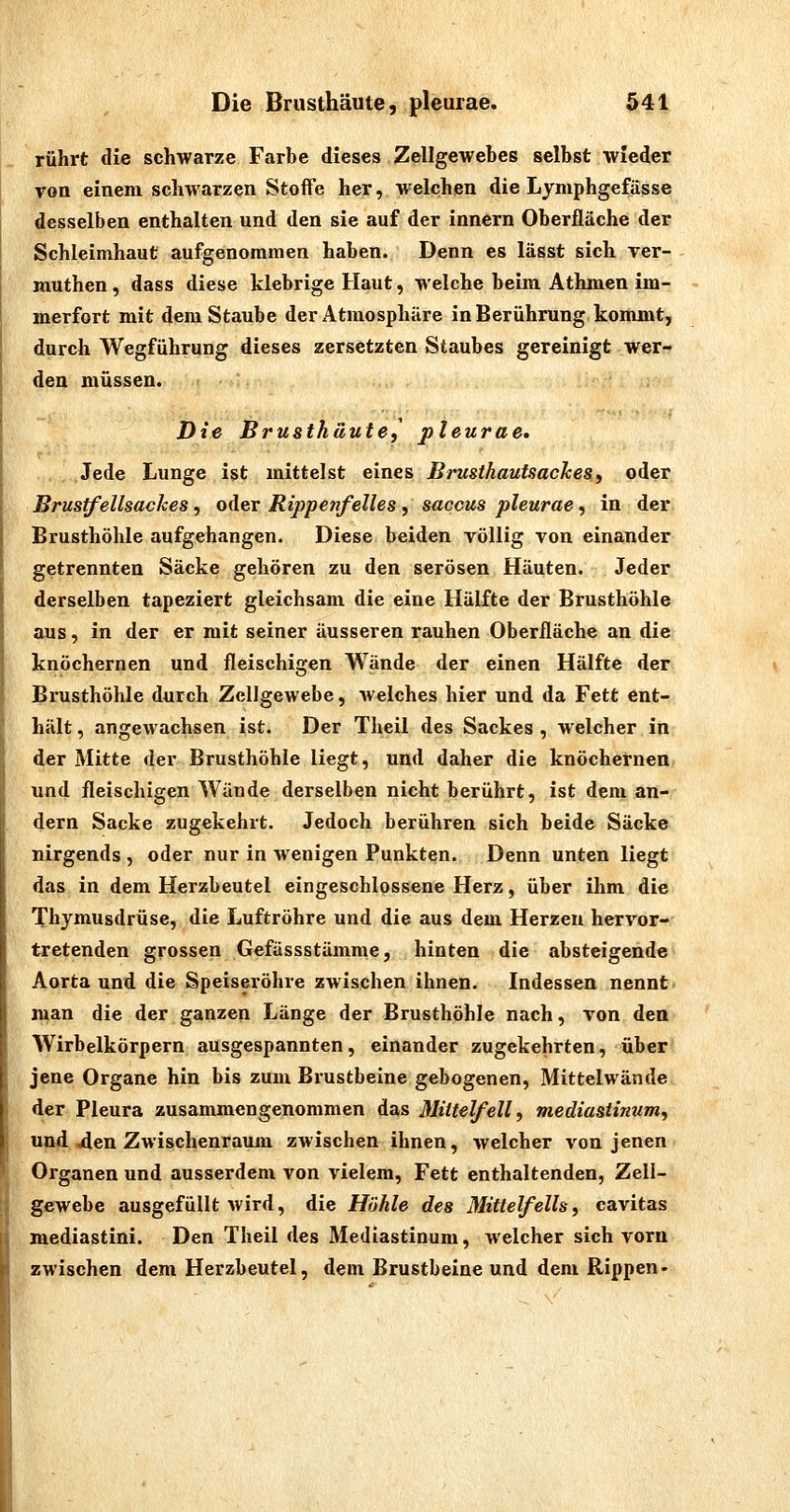 rührt die schwarze Farbe dieses Zellgewebes selbst wieder von einem schwarzen Stoffe her, welchen die Lymphgefässe desselben enthalten und den sie auf der innern Oberfläche der Schleimhaut aufgenommen haben. Denn es lässt sich rer- muthen, dass diese klebrige Haut, welche beim Athmen im- merfort mit dem Staube der Atmosphäre in Berührung kommt, durch Wegführung dieses zersetzten Staubes gereinigt wer- den müssen. Die Brusthäute, pleurae» Jede Lunge ist mittelst eines Brusthautsackesy oder Brustfellsackes, oA.&x Rippenfelles, Saccus pleurae, in der Brusthöhle aufgehangen. Diese beiden völlig von einander getrennten Säcke gehören zu den serösen Häuten. Jeder derselben tapeziert gleichsam die eine Hälfte der Brusthöhle aus, in der er mit seiner äusseren rauhen Oberfläche an die knöchernen und fleischigen Wände der einen Hälfte der Brusthöhle durch Zellgewebe, welches hier und da Fett ent- hält , angewachsen ist. Der Tlieil des Sackes , welcher in der Mitte der Brusthöhle liegt, und daher die knöchernen und fleischigen Wände derselben nicht berührt, ist dem an- dern Sacke zugekehrt. Jedoch berühren sich beide Säcke nirgends , oder nur in wenigen Punkten. Denn unten liegt das in dem Herzbeutel eingeschlossene Herz, über ihm die Thymusdrüse, die Luftröhre und die aus dem Herzen hervor- tretenden grossen Gefässstämme, hinten die absteigende Aorta und die Speiseröhre zwischen ihnen. Indessen nennt man die der ganzen Länge der Brusthöhle nach, von den Wirbelkörpern ausgespannten, einander zugekehrten, über jene Organe hin bis zum Brustbeine gebogenen, Mittelwände der Pleura zusammengenommen das Mittelfell, mediastinum, und jden Zwischenraum zAvischen ihnen, welcher von jenen Organen und ausserdem von vielem, Fett enthaltenden, Zell- gewebe ausgefüllt wird, die Höhle des Mittelfells, cavitas mediastini. Den Theil des Mediastinum, welcher sich vorn zwischen dem Herzbeutel, dem Brustbeine und dem Rippen-