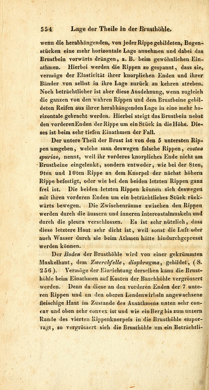 wenn die herabhängenden, von jeder Rippe gebildeten, Bogen- stücken eine mehr horizontale Lage annehmen und dabei da» Brustbein vorwärts drängen, z. B. beim gewöhnlichen Ein- athmen. Hierbei werden die Rippen so gespannt, dass sie, vermöge der Elasticität ihrer knorplichen Enden und ihrer Bänder von selbst in ihre Lage zurück zu kehren streben. Noch beträchtlicher ist aber diese Ausdehnung, wenn zugleich die ganzen von den wahren Rippen und dem Brustbeine gebil- deten Reifen aus ihrer herabhängenden Lage in eine mehr ho- rizontale gebracht werden. Hierbei steigt das Brustbein nebsfc den vorderenEnden der Rippe um ein Stück in die Höhe. Die- ses ist beim sehr tiefen Einathmen der Fall, Der untere Theil der Brust ist von den 5 untersten Rip-^ pen umgeben, welche man deswegen falsche Rippen, costae spuriae, nennt, veil ihr vorderes knorpliches Ende nicht am ■Brustbeine eingelenkt, sondern entweder, wie bei der 8ten, 9ten und lOten Rippe an dem Knorpel der nächst höhera Rippe befestigt, oder wie bei den beiden letzten Rippen ganz frei ist. Die beiden letzten Rippen können sich deswegen mit ihren vorderen Enden um ein beträchtliches Stück rück- wärts bewegen. Die Zwischenräume zwischen den Rippen werden durch die äussern und inneren Intercostalmuskeln und durch die pleura verschlossen. Es ist sehr nützlich, dass diese letztere Haut sehr dicht ist, weil sonst die Luft oder auch Wasser durch sie beim Athmen hätte bindurchgepresst werden können. Der Boden der Brusthöhle wird von einer gekrümmten Muskelhaut, dem Zicerch/elle, diaphragma, gebildet, (S. 256). Vermöge der Ein'-ichtung derselben kann die Brust- höhle beim Einathmen auf Kosten der Bauchhöhle vergrösscrt werden. Denn da diese an den vorderen Enden der 7 unte- ren Rippen und cn den oberen Lendenwirbeln angewachsene fleischige Haut im Zustande des Ausathmens unten sehr con- cav und oben sehr convex ist und wie ein Berg bis zum untern Rande des vierten Rippenknorpels in die Brusthöhle empor- ragt, so vergrÖGsert sich die Brusthöhle um ein Beträchtli- i