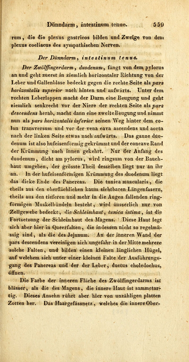 rnm, die die plexus gastficos bilden und Zweige ton dem plexus coeliacus des sympathischen Nerven, Der Dünndarm^ intestinum lenuß. Der Zwölffingerdarm, duodenum, fängt von dem pylorua • an und geht zuerst in ziemlich horizontaler Richtung von der Leber und Gallenblase bedeckt gegen die rechte Seite als pars horizontalis superior nach hinten und aufwärts. Unter dem rechten Leberlappen macht der Darm eine Beugung und geht ziemlich senkrecht vor der Niere der rechten Seite als pars descendens herab, macht dann eine zweite Beugung und nimmt nun als pars horizontalis inferior seinen Weg hinter dem Co- lon transversum und vor der vena cava ascendens und aorta nach der linken Seite etAvas nach aufwärts. Das ganze düo^ denum ist also hufeisenförmig gekrümmt und der concave Rand der Krümmung nach innen gekehrt. Nur der Anfang des duodenum, dicht am pylorus, wird ringsum von der Bauch- haut umgeben, der grösste Theil desselben liegt nur an ihr an. In der hufeisenförmigen Krümmung des duodenum liegt das dicke Ende des Pancreas. Die tunica muscularis, die theils aus den oberflächlichen kaum sichtbaren Längenfasern, theils aus den tieferen und mehr in die Augen fallenden ring- förmigen Muskelbündeln besteht;, wird äusserlich nur von Zellgewebe bedeckt, Aie Schleimhaut^ tunica intima, ist die Fortsetzung der Schleimhaut des Magens. Diese Haut legt sich aber hier in Queerfalten, die indessen nicht so regelmä- ssig sind, als die des Jejunum. An der inneren Wand der pars descendens vereinigen sich ungefähr in der Mitte mehrere solche Falten, und bilden einen kleinen länglichen Hügel, auf welchem sich unter einer kleinen Falte der Ausführungs- gang des Pancreas und der der Leber, ductus choledochus, öffnen. Die Farbe der inneren Fläche des Zwölffingerdarms ist blässer, als die des Magens, die innere Haut ist sammetar^ tig. Dieses Ansehn rührt aber hier von unzähligen platten Zotten her. Das Haargefässnetz, welches die innere Ober-