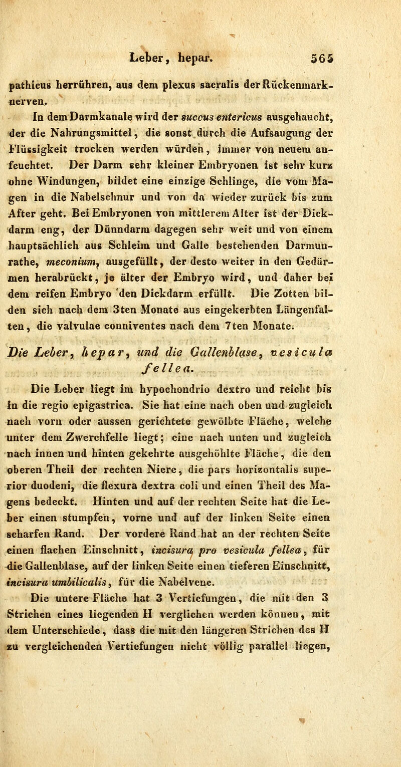 pathicus herrühren, aus dem plexus sacralis derRückemnark- nerven. la demDarmkanale wird der succus entericus ausgehaucht, 'der die Nahrungsmittel, die sonst durch die Aufsaugung der Flüssigkeit trocken werden würden, imiuer von neuem an- feuchtet. Der Darm sehr kleiner Embryonen ist sehr kura ohne Windungen, bildet eine einzige Schlinge, die vom Ma- gen in die Nabelschnur und von da wieder zurück bis zum After geht. Bei Embryonen von mittlerem Alter ist der Dick- darm eng, der Dünndarm dagegen sehr weit und von einem hauptsächlich aus Schleim und Galle bestehenden Darmun- rathe, meconium^ ausgefüllt, der desto weiter in den Gedär- men herabrückt, je älter der Embryo wird, und daher bei dem reifen Embryo den Dickdarm erfüllt. Die Zotten bil- den sich nach dem 3ten Monate aus eingekerbten Lnngenfal- ten, die valvulae conniventes nach dem 7ten Monate. Die Leber, hepar, und die Gallenblase, nesicula fellea. Die Leber liegt im hypochondrio dextro und reicht bis in die regio epigastrica. Sie hat eine nach oben und zugleich nach vorn oder aussen gerichtete gewölbte Fläche, welche unter dem Zwerchfelle liegt; eine nach unten und zugleich nach innen und hinten gekehrte ausgehöhlte Fläche, die den oberen Theil der rechten Niere, die pars horizontalis supe- rior duodeni, die flexura dextra coli und einen Theil des Ma- gens bedeckt. Hinten und auf der rechten Seite hat die Le- ber einen stumpfen, vorne und auf der linken Seite einen scharfen Rand. Der vordere Rand hat an der rechten Seite einen flachen Einschnitt, incisura pro vesiöula felleay für die Gallenblase, auf der linken Seite einen tieferen Einschnitt, inci&ura umbilicalisy für die Nabelveue. Die untere Fläche hat 3 Vertiefungen, die mit ^ den 3 Strichen eines liegenden H verglichen werden können, mit dem Unterschiede, dass die mit den längeren Strichen des H eu vergleichenden Vertiefungen nicht völlig parallel liegen,