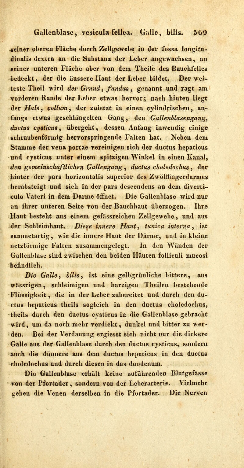 «einer oberen Fläche durch Zellgewebe in der fossa Jongltu- dliialis dextra an die Substanz der Leber angewachsen, an seiner unteren Fläche aber von dem Theile des Bauchfelles betbeckt, der die äussere Haut der Leber bildet, Der wei- teste Theil wird der Grund y /unduSf genannt und ragt am Torderen Rande der Leber etwas hervor; nach hinten liegt der Hals, Collum, der zuletzt ia einen cylindrischen, an- fangs etwas geschlängelten Gang, den Gallenblasengang, ductus cysticusf übergeht, dessen Anfang Inwendig einige schraubenförmig hervorspringende Falten hat. Neben dem Stamme der vena portae vereinigen sich der ductus hepaticus und cysticus unter einem spitzigen Winkel in einen Kanal, den gemeinschaftlichen Gallengang, ductus choledochus, der hinter der pars horizontalis superior des Zwölffingerdarmes herabsteigt und sich in der pars descendens an dem diverti- culo Vateri in dem Darme öifuet. Die Gallenblase wird nur an ihrer unteren Seite von der Bauchhaut überzogen. Ihre Haut besteht aus einem gefässreichen Zellgewebe, und aus der Schleimhaut. Diese innere Haut, tunica interna, ist samnietartig, wie die innere Haut der Därme, und in kleioe netzförmige Falten zusammengelegt. In den Wänden der Gallenblase sind zwischen den beiden Häuten folliculi mucosi befindlich. Die Galle, bilis, ist eine gelbgrünliche bittere, aus wässrigen, schleimigen und harzigen Theilen bestehende Flüssigkeit, die in der Leber zubereitet und durch den du- ctus hepaticus theils sogleich in den ductus choledochus, theils durch den ductus cysticus in die Gallenblase gebracht wird, um da noch mehr verdickt, dunkel und bitter zu wer- den. Bei der Verdauung ergiesst sich nicht nur die dickere Galle aus der Gallenblase durch den ductus cysticus, sondern auch die dünnere aus dem ductus hepaticus in den ductus ^choledochus und durch diesen in das duodenum. Die Gallenblase erhält keine zuführenden Blutgefässe von der Pfortader, sondern von der Leberarterie. Vielmehr gehen die Venen derselben in die Pfortader. Die Nerven