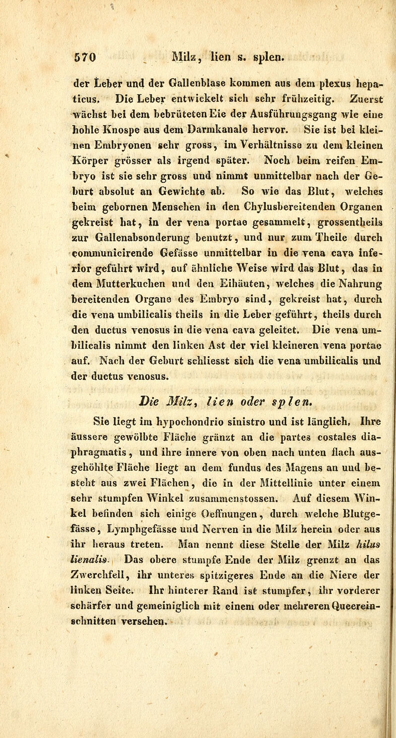 der Leber und der Gallenblase kommen aus dem plexus hepa- ticus. Die Leber entwickelt sich sehr frühzeitig. Zuerst wächst bei dem bebrüteten Eie der Ausführungsgang %yie eine hohle Knospe aus dem Darmkanale hervor. Sie ist bei klei- nen Embryonen sehr gross, im Verhältnisse zu dem kleinen Elörper grösser als irgend später. Noch beim reifen Em- bryo ist sie sehr gross und nimmt unmittelbar nach der Ge- burt absolut an Gewichte ab. So wie das Blut, welches beim gebornen Menschen in den Chylusbereitenden Organen gekreist hat^ in der vena portae gesammelt, grossentheils zur Gallenabsonderung benutzt, und nur zum Theile durch communicirende Gefässe unmittelbar in die rena cava infe- rior geführt wird, auf ähnliche Weise wird das Blut, das in dem Mutterkuchen und den Eihäuten, welches die Nahrung bereitenden Organe des Embrj^o sind, gekreist hat, durch die Vena umbilicalis theils in die Leber geführt, theils durch den ductus venosus in die vena cava geleitet. Die vena um- bilicalis nimmt den linken Ast der viel kleineren vena portae auf. Nach der Geburt schliesst sich die vena umbilicalis und der ductus venosus. Die Mihi lien oder spien. Sie liegt im hypochondrio sinistro und ist länglich, Ihre äussere gewölbte Fläche gränzt an die partes costales dia- phragmatis, und ihre innere von oben nach unten flach aus- gehöhlte Fläche liegt an dem fundus des Älagens an und be- steht aus zwei Flächen, die in der Mittellinie unter einem sehr stumpfen Winkel zusammenstossen. Auf diesem Win- kel befinden sich einige Oeftnungen, durch welche Blutge- fässe , Lymphgefässc und Nerven in die Milz herein oder aus ihr heraus treten. Man nennt diese Stelle der Milz hilus lienalis- Das obere stumpfe Ende der Milz grenzt an das Zwerchfell, ihr unteres spitzigeres Ende an die Niere der linken Seite. Ihr hinterer Rand ist stumpfer, ihr vorderer schärfer und gemeiniglich mit einem oder mehreren Queerein- schnitten versehen.