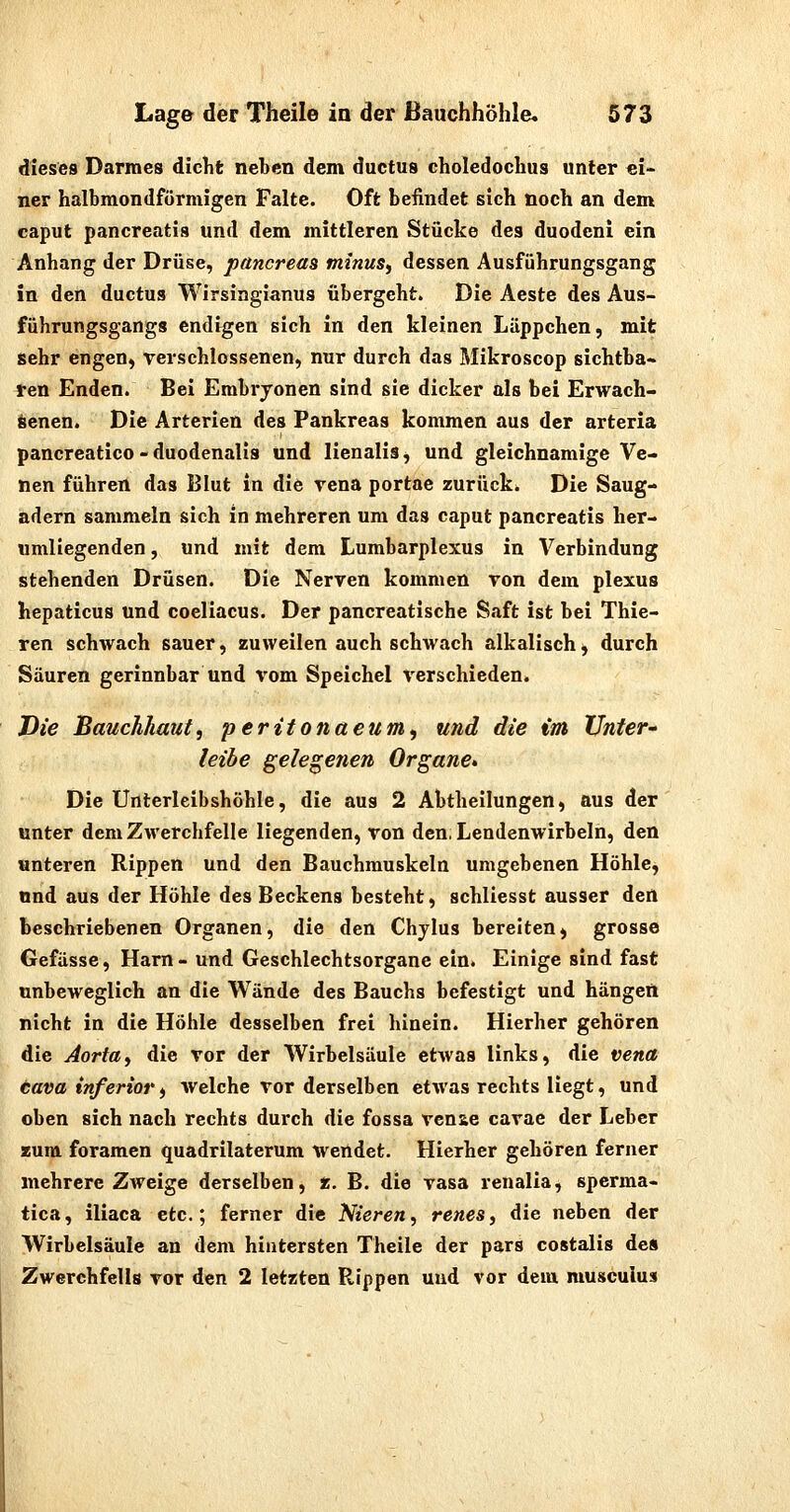 dieses Darmes dicht neben dem ductus choledochus unter «i- ner halbmondförmigen Falte. Oft befindet sich noch an dem caput pancreatis und dem mittleren Stücke des duodcni ein Anhang der Drüse, pancreas tninus^ dessen Ausführungsgang in den ductus Wirsingianus übergeht. Die Aeste des Aus- führungsgangs endigen sich in den kleinen Läppchen, mit sehr engen, verschlossenen, nur durch das Mikroscop sichtba- ren Enden. Bei Embryonen sind sie dicker als bei Erwach- senen. Die Arterien des Pankreas kommen aus der arteria pancreatico - duodenalis und lienalis, und gleichnamige Ve- nen führen das Blut in die rena portae zurück* Die Saug- adern sammeln sich in mehreren um das caput pancreatis her- umliegenden , und mit dem Lumbarplexus in Verbindung stehenden Drüsen. Die Nerven kommen von dem plexus hepaticus und coeliacus. Der pancreatische S.aft ist bei Thie- ren schAvach sauer, zuweilen auch schwach alkalisch, durch Säuren gerinnbar und vom Speichel verschieden. Die Bauchhaut, peritonaeum<, und die im Unter- leibe gelegenen Organe» Die Unterlcibshöhle, die aus 2 Abtheilungen, aus der unter demZAverchfelle liegenden, von den, Lendenwirbeln, den unteren Rippen und den Bauchmuskeln umgebenen Höhle, und aus der Höhle des Beckens besteht, schliesst ausser den beschriebenen Organen, die den Chylus bereiten, grosse Gefässe, Harn- und Geschlechtsorgane ein. Einige sind fast unbeweglich an die Wände des Bauchs befestigt und hängen nicht in die Höhle desselben frei hinein. Hierher gehören die Aortay die vor der Wirbelsäule etwas links, die vena Cava inferior, welche vor derselben etwas rechts liegt, und oben sich nach rechts durch die fossa vcnae cavae der Leber Jtum foramen quadrilaterum wendet. Hierher gehören ferner mehrere Zweige derselben, «, B. die vasa renalia, sperma- tica, iliaca etc.; ferner die Nieren, renes, die neben der Wirbelsäule an dem hintersten Theile der pars costalis des Zwerchfells vor den 2 letzten Rippen und vor dem musculus