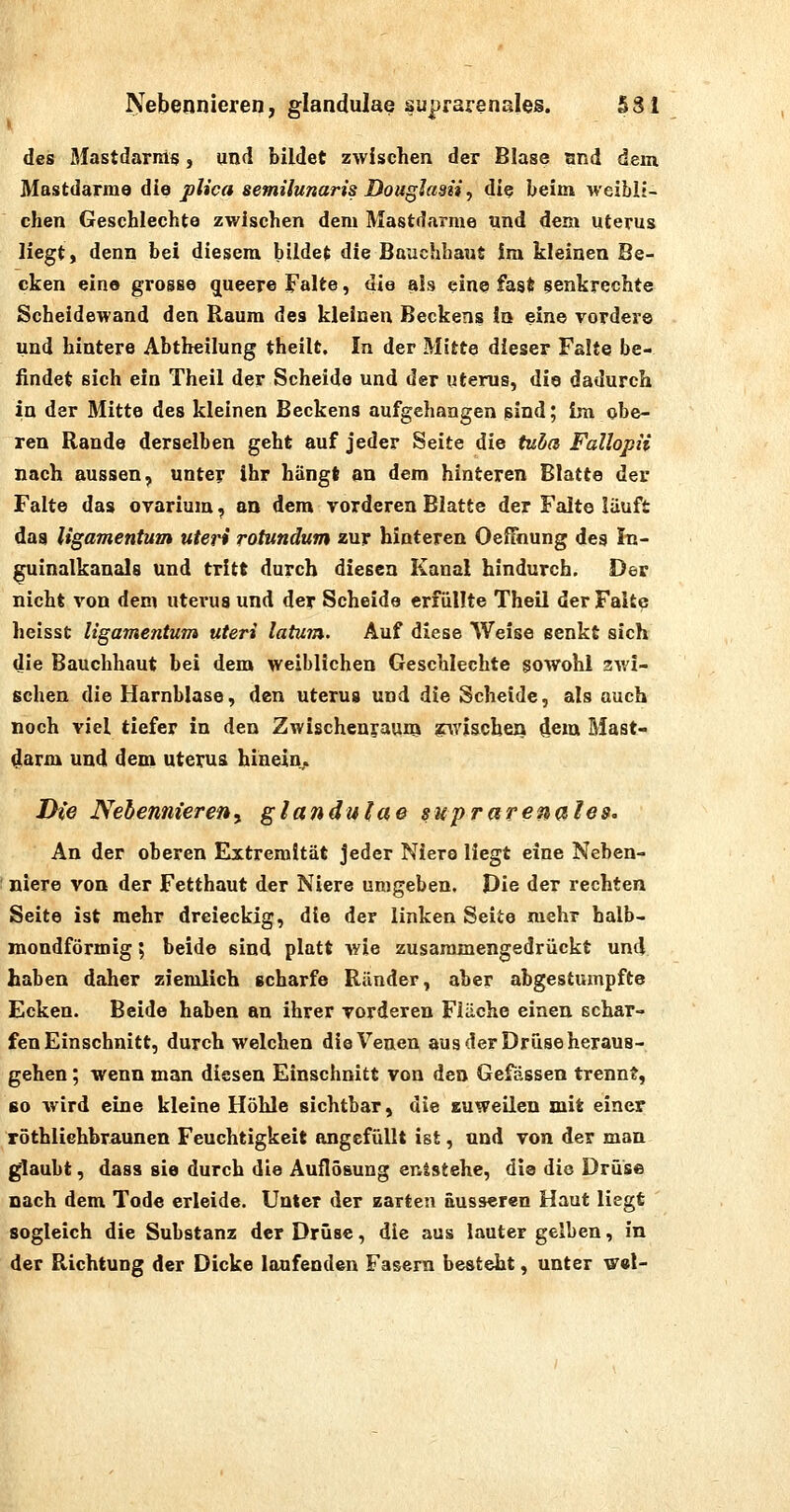 Nebennieren, glandulae suprarenales. 531 des Mastdarms, und bildet zwischen der Blase and dem Mastdärme die plica semilunaris Doughtsti ^ die beim weibli- chen Geschlechte zwischen dem Mastdarme und dem Uterus liegt, denn bei diesem bildet die Bauchhaut Im kleinen Be- cken eine grosse ^ueere Falte, die ais eine fast senkrechte Scheidewand den Raum des kleinen Beckens In eine vordere und hintere Abtheilung theilt. In der Mitte dieser Falte be- findet sich ein Theil der Scheide und der Uterus, die dadurch in der Mitte des kleinen Beckens aufgehangen pind; im obe- ren Rande derselben geht auf jeder Seite die tudct Fallopii nach aussen, unter ihr hängt an dem hinteren Blatte der Falte das ovarium, an dem vorderen Blatte der Falte läuft das Ugamentum uteri rotundum zur hinteren Oeffhung des In- ^inalkanals und tritt durch diesen Kanal hindurch. Der nicht von dem Uterus und der Scheide erfüllte Theil der Falte heisst Ugamentum uteri latum. Auf diese Weise senkt sich die Bauchhaut bei dem weiblichen Geschlechte gowohl 3wi- schen die Harnblase, den Uterus und die Scheide, als auch noch viel tiefer in den ZwischenyauiQ ^wischen dem Mast- darm und dem uterua hinein. Die Nebennieretiy glanduiae suprarenales. An der oberen Extremität jeder Niere liegt eine Neben- niere von der Fetthaut der Niere umgeben. Die der rechten Seite ist mehr dreieckig, die der linken Seite mehr halb- mondförmig ; beide sind platt wie zusammengedrückt und haben daher ziemlich scharfe Ränder, aber abgestumpfte Ecken. Beide haben an ihrer vorderen Fläche einen schar- fen Einschnitt, durchweichen die Venen aus der Drüse heraus- gehen ; wenn man diesen Einschnitt von den Gefässen trennt, so Avird eine kleine Höhle sichtbar, die EUWeUen mit einer röthliehbraunett Feuchtigkeit angefüllt ist, und von der man glaubt, dass sie durch die AuflS&ung entstehe, die die Drüse nach dem Tode erleide. Unter der zarten äusseren Haut liegt sogleich die Substanz der Drüse, die aus lauter gelben, in der Richtung der Dicke laufenden Fasern besteht, unter w«l-