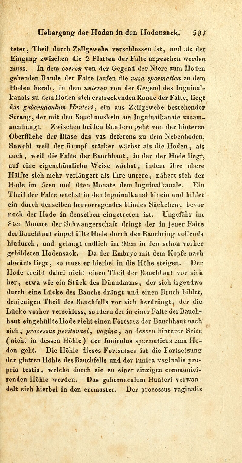 teter, Theil durch Zellgewebe verschlossen ist, und als der Eingang zwischen die 2 Platten der Falte angesehen werden muss. In dem oberen von der Gegend der Niere zum Hoden gehenden Rande der Falte laufen die vasa spermatica zu dem Hoden herab, in dem unteren von der Gegend des Inguinal- kanals zu dem Hoden sich erstreckenden Rande der Falte, liegt das guberjiaculum Hunieri, ein aus Zellgewebe bestehender Strang, der mit den Bj^uchmuskeln am Iiiguinalkanale zusam- menhängt. Zwischen beiden Rändern geht von der hinteren Oberfläche der Blase das vas deferens zu dem Nebenhoden. Sowohl weil der Rumpf stärker wächst als die Hoden, als auch, weil die Falte der Bauchhaut, in der der Hode liegt, auf eine eigenthümliche Weise wächst, indem ihre obere Hälfte sich mehr verlängert als ihre untere, nähert sich der Hode im 5ten und öten Monate dem Inguinalkanale. Ein Theil der Falte wächst in den Inguinalkanal hinein und bildet ein durch denselben hervorragendes blindes Säckchen, bevor noch der Hode in denselben eingetreten ist. Ungefähr im 8tcn i\lonate der Schwangerschaft dringt der in jener Falte der Bauchhaut eingehüllte Hode durch den Bauchring vollends hindurch, und gelangt endlich im 9ten in den schon vorher gebildeten Hodensack. Da der Embryo mit dem Kopfe nach abwärts liegt, so muss er hierbei in die Höhe steigen. Der Hode treibt dabei nicht einen Theil der Bauchhaut vor sich her, etwa wie ein Stück des Dünndarms, der sich irgendwo durch eine Lücke des Bauchs drängt und einen Bruch bildet, denjenigen Theil des Bauchfells vor sich herdrängt^ der die Lücke vorher verschluss, sondern der in einer Falte der Bauch- haut eingehüllte Hode zieht einen Fortsatz der Bauchhaut nach Bich, Processus j)e7'itonaei, vagina, an dessen hinterer Seite (nicht in dessen Höhle) der funiculus spermaticus zum Ho- den geht. Die Höhle dieses Fortsatzes ist die Fortsetzung der glatten Höhle des Bauchfells und der tunica vaginalis pro- pria testis , welche durch sie zu einer einzigen communici- renden Höhle werden. Das gubernaculum Hunteri verwan- delt sich hierbei in den cremaster. Der processus vaginalis