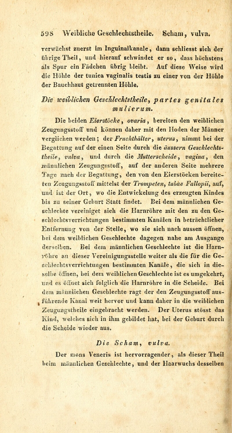 &9$ Weibliche Geschlechtstheile. Scham, vulva, rerwäclist zuerst im Inguinallcanale, dann schliesst sich der übrige Theil, und hierauf schwindet er so, dass höchstens als Spur ein Fädchen übrig Lleibt. Auf diese Weise wird die Höhle der tunica vaginalis testis zu einer vou der Höhle der Bauchhaut getrennten Höhle, Die weihlichen GesclilechtstJmle, partes genitales mulierum. WiQ ho.iAo.n Eier stach e ^ Ovaria, bereiten den weiblichen Zeugungsstoif und können daher mit den Hoden der Männer verglichen werden; dev Fruchthälter, uteruä, nimmt bei der Begattung auf der einen Seite durch die äussern Geschlechts- tkeile^ Vulva, und durch die Mutterscheide, vagina, den TOünnlichen ZeugungsstoiF, auf der anderen Seite mehrere Tage nach der Begattung, den von den Eierstöcken bereite- ten Zeugungsstoli mittelst der Trompeten, tuhae Fallopii, auf, und ist der Ort, wo die Entwickelung des erzeugten Kindes bis zu seiner Geburt Statt findet. Bei dem männlichen Ge- $cMechte vereiniget sich die Harnröhre mit den zu den Ge- schiechtsverrichtungen bestimmten Kanälen in beträchtlicher Entfernung von der Stelle, wo sie sich nach aussen öffnen, bei dem weiblichen Geschlechte dagegen nahe am Ausgange derselben. Bei dem männlichen Geschlechte ist die Harn- i'öhre an dieser Vereiniguiigsstelle weiter als die für die Ge- selilechtsverrichtungen bestimmten Kanäle, die sich in die- selbe öifnen, bei dem weiblichen Geschlechte ist es umgekehrt, Xinü es öüaet sich folglich die Harnröhre in die Scheide. Bei dem männiicheu Geschlechte ragt der den ZeugungsstoiF aus- j fülirende Kanal weit hervor und kann daher in die weiblichen Zeugungstheiie eingebracht werden. Der Uterus stösst das Kind, welches sich in ihm gebildet hat, bei der Geburt durch die Scheide wieder aus, Die Scham, vulva. Der mens Veneria ist hervorragender, als dieser Theil beim männlichen Geschiechte, und der HaarMuchs desselben