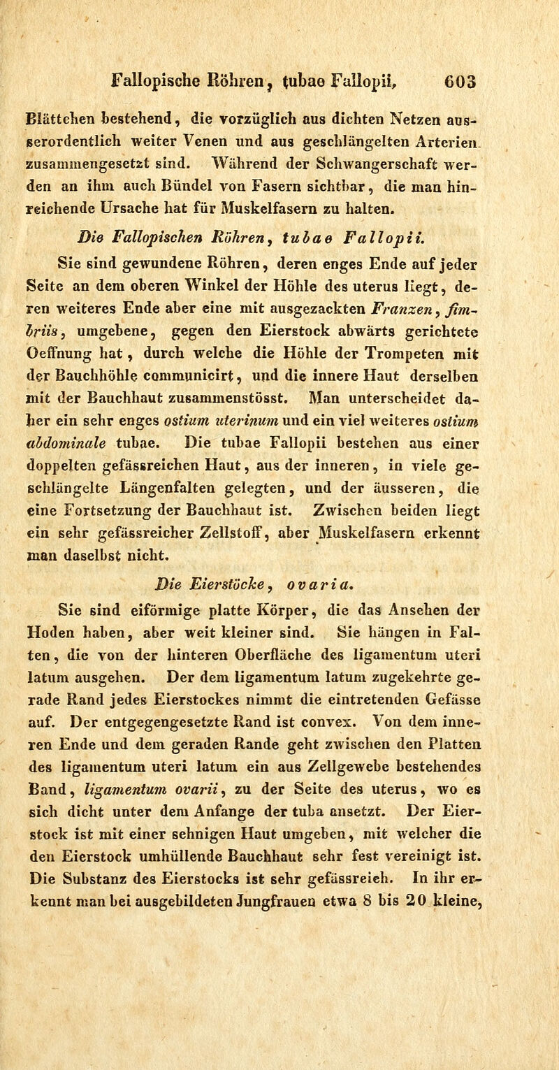 Blättchen bestehend, die vorzüglich aus dichten Netzen aus- gerordentllch weiter Venen und aus geschlängelten Arterien, zusammengesetzt sind. Während der Schwangerschaft wer- den an ihm auch Bündel von Fasern sichtbar, die man hin- reichende Ursache hat für Muskelfasern zu halten. Die Fallopischen Rühren, tuhae Fallopii. Sie sind gewundene Röhren, deren enges Ende auf jeder Seite an dem oberen Winkel der Höhle des Uterus \le^t, de- ren weiteres Ende aber eine mit ausgezackten Franzen, fim^ Iriis, umgebene, gegen den Eierstock abwärts gerichtete Oeffnung hat, durch welche die Höhle der Trompeten mit der Bauchhöhle communicirt, und die innere Haut derselben mit der Bauchhaut zusammenstösst. Man unterscheidet da- her ein sehr enges ostium uterinwn und ein viel weiteres ostium ahdominale tubae. Die tubae Fallopii bestehen aus einer doppelten gefässreichen Haut, aus der inneren, in viele ge- schlüngelte Längenfalten gelegten, und der äusseren, die eine Fortsetzung der Bauchhaut ist. Zwischen beiden liegt ein sehr gefässreicher Zellstoff, aber Muskelfasern erkennt man daselbst nicht. Die Eiei'Stücke f Ovaria. Sie sind eiförmige platte Körper, die das Ansehen der Hoden haben, aber weit kleiner sind. Sie hängen in Fal- ten, die von der hinteren Oberfläche des ligamentum uteri latum ausgehen. Der dem ligamentum latum zugekehrte ge- rade Rand jedes Eierstockes nimmt die eintretenden Gefässe auf. Der entgegengesetzte Rand ist convex. Von dem inne- ren Ende und dem geraden Rande geht zwischen den Platten des ligamentum uteri latum ein aus Zellgewebe bestehendes Band, ligamentum ovarii^ zu der Seite des Uterus, wo es sich dicht unter dem Anfange der tuba ansetzt. Der Eier- stock ist mit einer sehnigen Haut umgeben, mit welcher die den Eierstock umhüllende Bauchhaut sehr fest vereinigt ist. Die Substanz des Eierstocks ist sehr gefässreieh. In ihr er- kennt man bei ausgebildeten Jungfrauen etwa 8 bis 20 kleine,