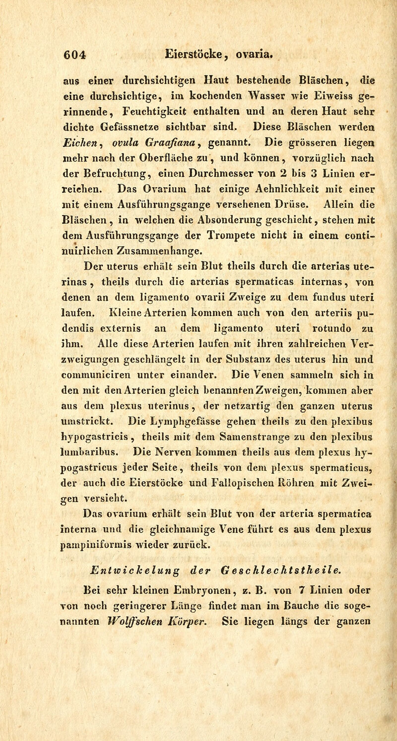 aus einer durchsichtigen Haut bestehende Bläschen, die eine durchsichtige, im kochenden Wasser wie Eiweiss ge- rinnende , Feuchtigkeit enthalten und an deren Haut sehr dichte Gefässnetze sichtbar sind. Diese Bläschen werdea Eichen^ ovula Graafiana, genannt. Die grösseren liegen mehr nach der Oberfläche zu, und können, vorzüglich nach der Befruchtung, einen Durchmesser von 2 bis 3 Linien er- reichen. Das Ovarium hat einige Aehnlichkeit mit einer mit einem Ausführungsgange versehenen Drüse. Allein die Bläschen , in welchen die Absonderung geschieht, stehen mit dem Ausführungsgange der Trompete nicht in einem conti- nuirlichen Zusammenhange. Der Uterus erhält sein Blut theils durch die arterias ute- rinas , theils durch die arterias spermaticas internas, von denen an dem ligamento ovarii Zweige zu dem fundus uteri laufen. Kleine Arterien kommen auch von den arteriis pu- dendis externis an dem ligamento uteri rotundo zu ihm. Alle diese Arterien laufen mit ihren zahlreichen Ver- zweigungen geschlängelt in der Substanz des Uterus hin und communiciren unter einander. Die Venen sammeln sich in den mit den Arterien gleich benannten Zweigen, kommen aber aus dem plexus uterinus, der netzartig den ganzen uterus umstrickt. Die Lymphgefässe gehen theils zu den plexibus hypogastricis, theils mit dem Samenstrange zu den plexibus lumbaribus. Die Nerven kommen theils aus dem plexus hy- pogastricus jeder Seite, theils von dem plexus spermaticus, der auch die Eierstöcke und Fallopischen Röhren mit Zwei- gen versieht. Das ovarium erhält sein Blut von der arteria spermatica interna und die gleichnamige Vene führt es aus dem plexus pampiniformis wieder zurück. Entwickelung der Geschlechtstheile. Bei sehr kleinen Embryonen, z. B. von 7 Linien oder von noch geringerer Länge findet man im Bauche die soge- nannten Woljfschen Körper. Sie liegen längs der ganzen