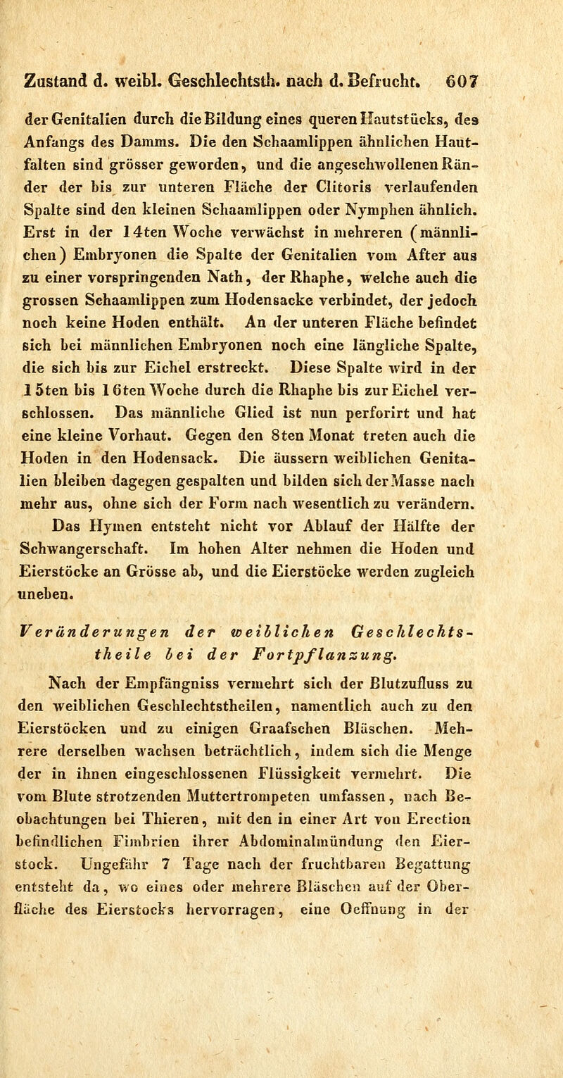 der Genitalien durch die Bildung eines queren Hautstücks, des Anfangs des Damms. Die den Scliaamlippen ähnlichen Haut- falten sind grösser geworden, und die angeschwollenen Rän- der der bis zur unteren Fläche der Clitoris verlaufenden Spalte sind den kleinen Schaamlippen oder Nymphen ähnlich. Erst in der 14ten Woche verwächst in mehreren (männli- chen) Embryonen die Spalte der Genitalien vom After aus zu einer vorspringenden Nath, der Rhaphe, welche auch die grossen Schaamlippen zum Hodensacke verbindet, der jedoch noch keine Hoden enthält. An der unteren Fläche befindet sich bei männlichen Embryonen noch eine längliche Spalte, die sich bis zur Eichel erstreckt. Diese Spalte Avird in der löten bis löten Woche durch die Rhaphe bis zur Eichel ver- schlossen. Das männliche Glied ist nun perforirt und hat eine kleine Vorhaut. Gegen den 8ten Monat treten auch die Hoden in den Hodensack. Die äussern weiblichen Genita- lien bleiben dagegen gespalten und bilden sich der Masse nach mehr aus, ohne sich der Form nach wesentlich zu verändern. Das Hymen entsteht nicht vor Ablauf der Hälfte der Schwangerschaft. Im hohen Alter nehmen die Hoden und Eierstöcke an Grösse ab, und die Eierstöcke werden zugleich uneben. Veränderungen der weiblichen Geschlechts- theile hei der Fortpflanzung. Nach der Empfängniss vermehrt sich der ßlutzufluss zu den weiblichen Geschlechtstheilen, namentlich auch zu den Eierstöcken und zu einigen Graafschen Bläschen. Meh- rere derselben wachsen beträchtlich, indem sich die Menge der in ihnen eingeschlossenen Flüssigkeit vermehrt. Die vom Blute strotzenden Muttertrompeten umfassen , nach Be- obachtungen bei Thieren, mit den in einer Art von Erection befindlichen Fimbrien ihrer Abdominalmündung den Eier- stock. Ungefähr 7 Tage nach der fruchtbaren Begattung entsteht da, wo eines oder mehrere Bläschen auf der Ober- fläche des Eierstocks hervorragen, eine Oeffnung in der