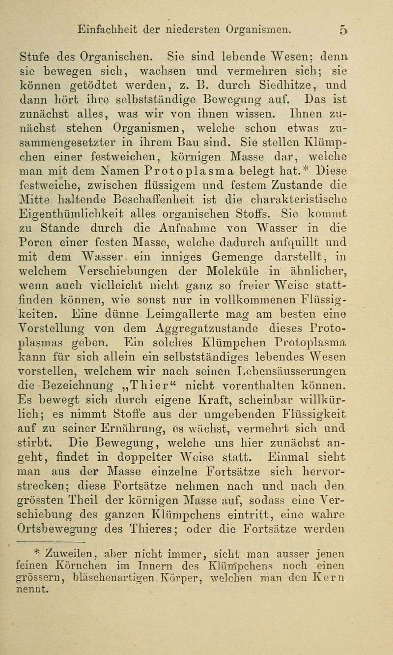 Stufe des Organischen. Sie sind lebende Wesen; denn sie bewegen sich, wachsen und vermehren sich; sie können getödtet werden, z. B. durch Siedhitze, und dann hört ihre selbstständige Bewegung auf. Das ist zunächst alles, was wir von ihnen wissen. Ihnen zu- nächst stehen Organismen, welche schon etwas zu- sammengesetzter in ihrem Bau sind. Sie stellen Klümp- chen einer festweichen, körnigen Masse dar, welche man mit dem Namen Protoplasma belegt hat.* Diese festweiche, zwischen flüssigem und festem Zustande die Mitte haltende Beschaffenheit ist die charakteristische Eigenthümlichkeit alles organischen Stoffs. Sie kommt zu Stande durch die Aufnahme von Wasser in die Poren einer festen Masse, welche dadurch aufquillt und mit dem Wasser ein inniges Gemenge darstellt, in welchem Verschiebungen der Moleküle in ähnlicher, wenn auch vielleicht nicht ganz so freier Weise statt- finden können, wie sonst nur in vollkommenen Flüssig- keiten. Eine dünne Leimgallerte mag am besten eine Vorstellung von dem Aggregatzustande dieses Proto- plasmas geben. Ein solches Klümpchen Protoplasma kann für sich allein ein selbstständiges lebendes Wesen vorstellen, welchem wir nach seinen Lebensäusserungen die Bezeichnung „Thier nicht vorenthalten können. Es bewegt sich durch eigene Kraft, scheinbar willkür- lich; es nimmt Stoffe aus der umgebenden Flüssigkeit auf zu seiner Ernährung, es wächst, vermehrt sich und stirbt. Die Bewegung, welche uns hier zunächst an- geht, findet in doppelter Weise statt. Einmal sieht man aus der Masse einzelne Fortsätze sich hervor- strecken; diese Fortsätze nehmen nach und nach den grössten Theil der körnigen Masse auf, sodass eine Ver- schiebung des ganzen Klümpchens eintritt, eine wahre Ortsbewegung des Thieres; oder die Fortsätze werden * Zuweilen, aber nicht immer, sieht man ausser jenen feinen Körnchen im Innern des Klümpchens noch einen grössern, bläschenartigen Körper, welchen man den Kern nennt.
