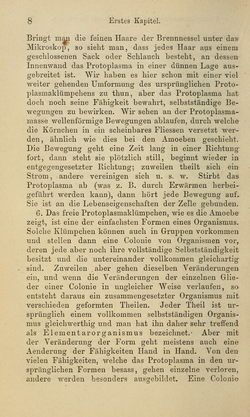 Bringt man die feinen Haare der Brennnessel unter das-- Mikroskop, so sieht man, dass jedes Haar aus einem geschlossenen Sack oder Schlauch besteht, an dessen Innenwand das Protoplasma in einer dünnen Lage aus- gebreitet ist. Wir haben es hier schon mit einer viel weiter gehenden Umformung des ursprünglichen Proto- plasmaklümpchens zu thun, aber das Protoplasma hat doch noch seine Fähigkeit bewahrt, selbstständige Be- wegungen zu bewirken. Wir sehen an der Protoplasma- masse wellenförmige Bewegungen ablaufen, durch welche die Körnchen in ein scheinbares Fliessen versetzt wer- den, ähnlich wie dies bei den Amoeben geschieht. Die Bewegung geht eine Zeit lang in einer Richtung fort, dann steht sie plötzlich still, beginnt wieder in entgegengesetzter Richtung; zuweilen theilt sich ein Strom, andere vereinigen sich u. s. w. Stirbt das Protoplasma ab (was z. B. durch Erwärmen herbei- geführt werden kann), dann hört jede Bewegung auf. Sie ist an die Lebenseigenschaften der Zelle gebunden. 6. Das freie Protoplasmaklümpchen, wie es die Anioebe zeigt, ist eine der einfachsten Formen eines Organismus. Solche Klümpchen können auch in Gruppen vorkommen und stellen dann eine Colonie von Organismen vor, deren jede aber noch ihre vollständige Selbstständigkeit besitzt und die untereinander vollkommen gleichartig sind. Zuweilen aber gehen dieselben Veränderungen ein, und wenn die Veränderungen der einzelnen Glie- der einer Colonie in ungleicher Weise verlaufen, so entsteht daraus ein zusammengesetzter Organismus mit verschieden geformten Theilen. Jeder Theil ist ur- sprünglich einem vollkommen selbstständigen Organis- mus gleichwerthig und man hat ihn daher sehr treffend als Elementarorganismus bezeichnet.- Aber mit der Veränderung der Form geht meistens auch eine Aenderung der Fähigkeiten Hand in Hand. Von den vielen Fähigkeiten, welche das Protoplasma in den ur- sprünglichen Formen besass, gehen einzelne verloren, andere werden besonders ausgebildet. Eine Colonie