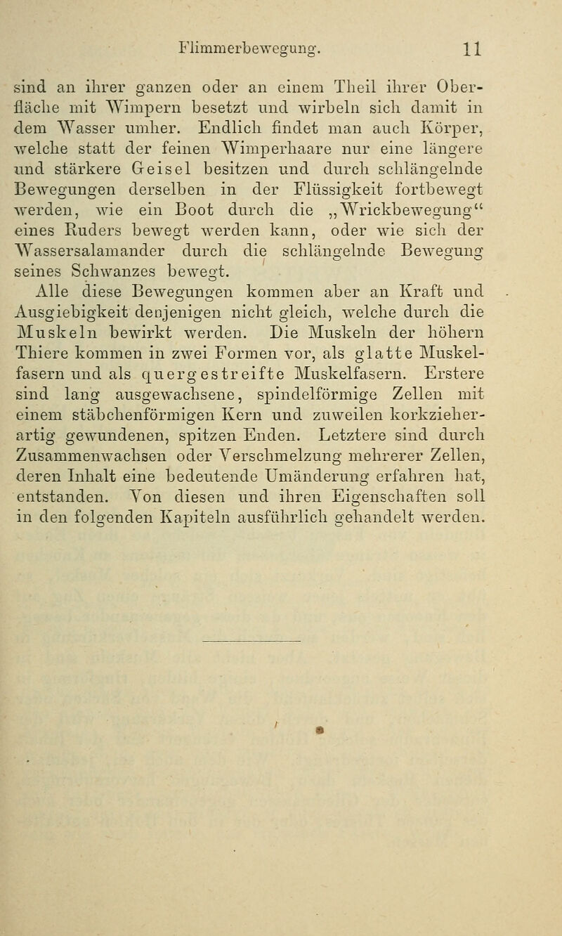 sind an ihrer ganzen oder an einem Theil ihrer Ober- fläche mit Wimpern besetzt und wirbeln sich damit in dem Wasser umher. Endlich findet man auch Körper, welche statt der feinen Wimperhaare nur eine längere und stärkere Geisel besitzen und durch schlängelnde Bewegungen derselben in der Flüssigkeit fortbewegt werden, wie ein Boot durch die „ Wrickbewegung eines Ruders bewegt werden kann, oder wie sich der Wassersalamander durch die schlängelnde Bewegung seines Schwanzes bewegt. Alle diese Bewegungen kommen aber an Kraft und Ausgiebigkeit denjenigen nicht gleich, welche durch die Muskeln bewirkt werden. Die Muskeln der höhern Thiere kommen in zwei Formen vor, als glatte Muskel- fasern und als quergestreifte Muskelfasern. Erstere sind lang ausgewachsene, spindelförmige Zellen mit einem stäbchenförmigen Kern und zuweilen korkzieher- artig gewundenen, spitzen Enden. Letztere sind durch Zusammenwachsen oder Verschmelzung mehrerer Zellen, deren Inhalt eine bedeutende Umänderung erfahren hat, entstanden. Yon diesen und ihren Eigenschaften soll in den folgenden Kapiteln ausführlich gehandelt werden.
