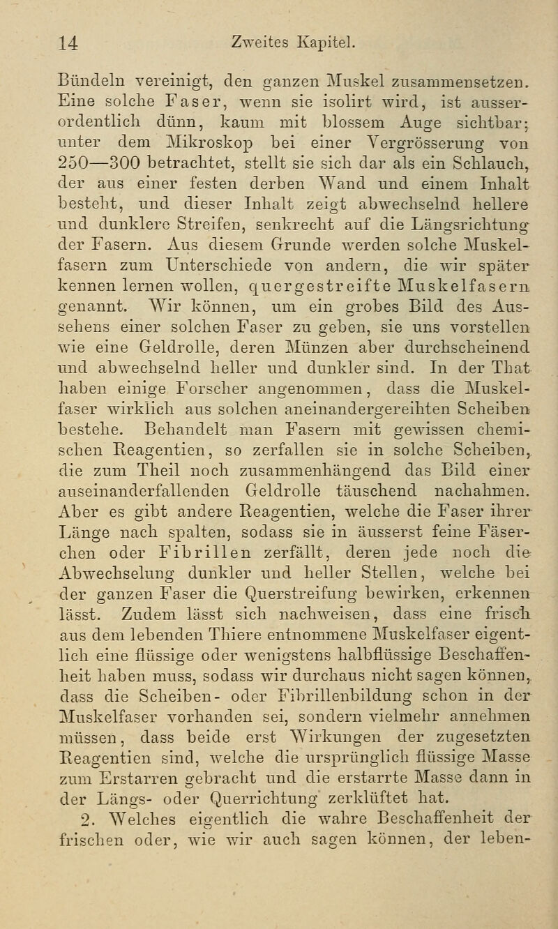 Bündeln vereinigt, den ganzen Muskel zusammensetzen. Eine solche Faser, wenn sie isolirt wird, ist ausser- ordentlich dünn, kaum mit blossem Auge sichtbar; unter dem Mikroskop bei einer Yergrösserung von 250—300 betrachtet, stellt sie sich dar als ein Schlauch, der aus einer festen derben Wand und einem Inhalt besteht, und dieser Inhalt zeigt abwechselnd hellere und dunklere Streifen, senkrecht auf die Längsrichtung der Fasern. Aus diesem Grunde werden solche Muskel- fasern zum Unterschiede von andern, die wir später kennen lernen wollen, quergestreifte Muskelfasern genannt. Wir können, um ein grobes Bild des Aus- sehens einer solchen Faser zu geben, sie uns vorstellen wie eine Geldrolle, deren Münzen aber durchscheinend und abwechselnd heller und dunkler sind. In der That haben einige Forscher angenommen, dass die Muskel- faser wirklich aus solchen aneinandergereihten Scheiben bestehe. Behandelt man Fasern mit gewissen chemi- schen Reagentien, so zerfallen sie in solche Scheiben, die zum Theil noch zusammenhängend das Bild einer auseinanderfallenden Geldrolle täuschend nachahmen. Aber es gibt andere Reagentien, welche die Faser ihrer Länge nach spalten, sodass sie in äusserst feine Fäser- chen oder Fibrillen zerfällt, deren jede noch die Abwechselung dunkler und heller Stellen, welche bei der ganzen Faser die Querstreifung bewirken, erkennen lässt. Zudem lässt sich nachweisen, dass eine friscli aus dem lebenden Thiere entnommene Muskelfaser eigent- lich eine flüssige oder wenigstens halbflüssige Beschaffen- heit haben muss, sodass wir durchaus nicht sagen können, dass die Scheiben- oder Fibrillenbildung schon in der Muskelfaser vorhanden sei, sondern vielmehr annehmen müssen, dass beide erst Wirkungen der zugesetzten Reagentien sind, welche die ursprünglich flüssige Masse zum Erstarren gebracht und die erstarrte Masse dann in der Längs- oder Querrichtung zerklüftet hat. 2. Welches eigentlich die wahre Beschaffenheit der frischen oder, wie wir auch sagen können, der leben-