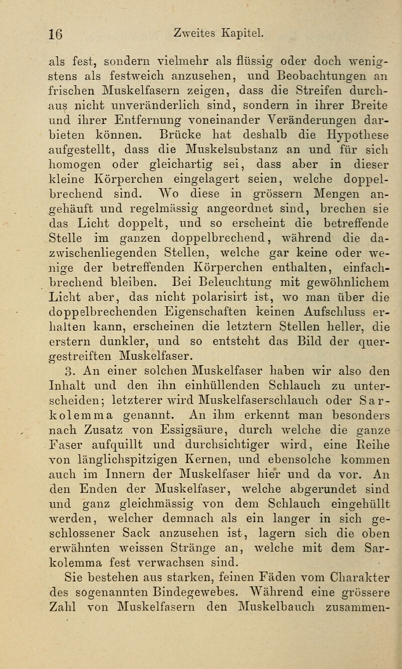 als fest, sondern vielmehr als flüssig oder doch wenig- stens als festweich anzusehen, und Beobachtungen an frischen Muskelfasern zeigen, dass die Streifen durch- aus nicht unveränderlich sind, sondern in ihrer Breite und ihrer Entfernung voneinander Veränderungen dar- bieten können. Brücke hat deshalb die Hypothese aufgestellt, dass die Muskelsubstanz an und für sich homogen oder gleichartig sei, dass aber in dieser kleine Körperchen eingelagert seien, wTelche doppel- brechend sind. Wo diese in grössern Mengen an- gehäuft und regelmässig angeordnet sind, brechen sie das Licht doppelt, und so erscheint die betreffende Stelle im ganzen doppelbrechend, während die da- zwischenliegenden Stellen, welche gar keine oder we- nige der betreffenden Körperchen enthalten, einfach- brechend bleiben. Bei Beleuchtung mit gewöhnlichem Licht aber, das nicht polarisirt ist, wo man über die doppelbrechenden Eigenschaften keinen Aufschluss er- halten kann, erscheinen die letztern Stellen heller, die erstem dunkler, und so entsteht das Bild der quer- gestreiften Muskelfaser. 3. An einer solchen Muskelfaser haben wir also den Inhalt und den ihn einhüllenden Schlauch zu unter- scheiden; letzterer wird Muskelfaserschlauch oder Sar- kolemma genannt. An ihm erkennt man besonders nach Zusatz von Essigsäure, durch welche die ganze Faser aufquillt und durchsichtiger wird, eine Reihe von länglichspitzigen Kernen, und ebensolche kommen auch im Innern der Muskelfaser hier und da vor. An den Enden der Muskelfaser, welche abgerundet sind und ganz gleichmässig von dem Schlauch eingehüllt werden, welcher demnach als ein langer in sich ge- schlossener Sack anzusehen ist, lagern sich die oben erwähnten weissen Stränge an, welche mit dem Sar- kolemma fest verwachsen sind. Sie bestehen aus starken, feinen Fäden vom Charakter des sogenannten Bindegewebes. Während eine grössere Zahl von Muskelfasern den Muskelbauch zusammen-